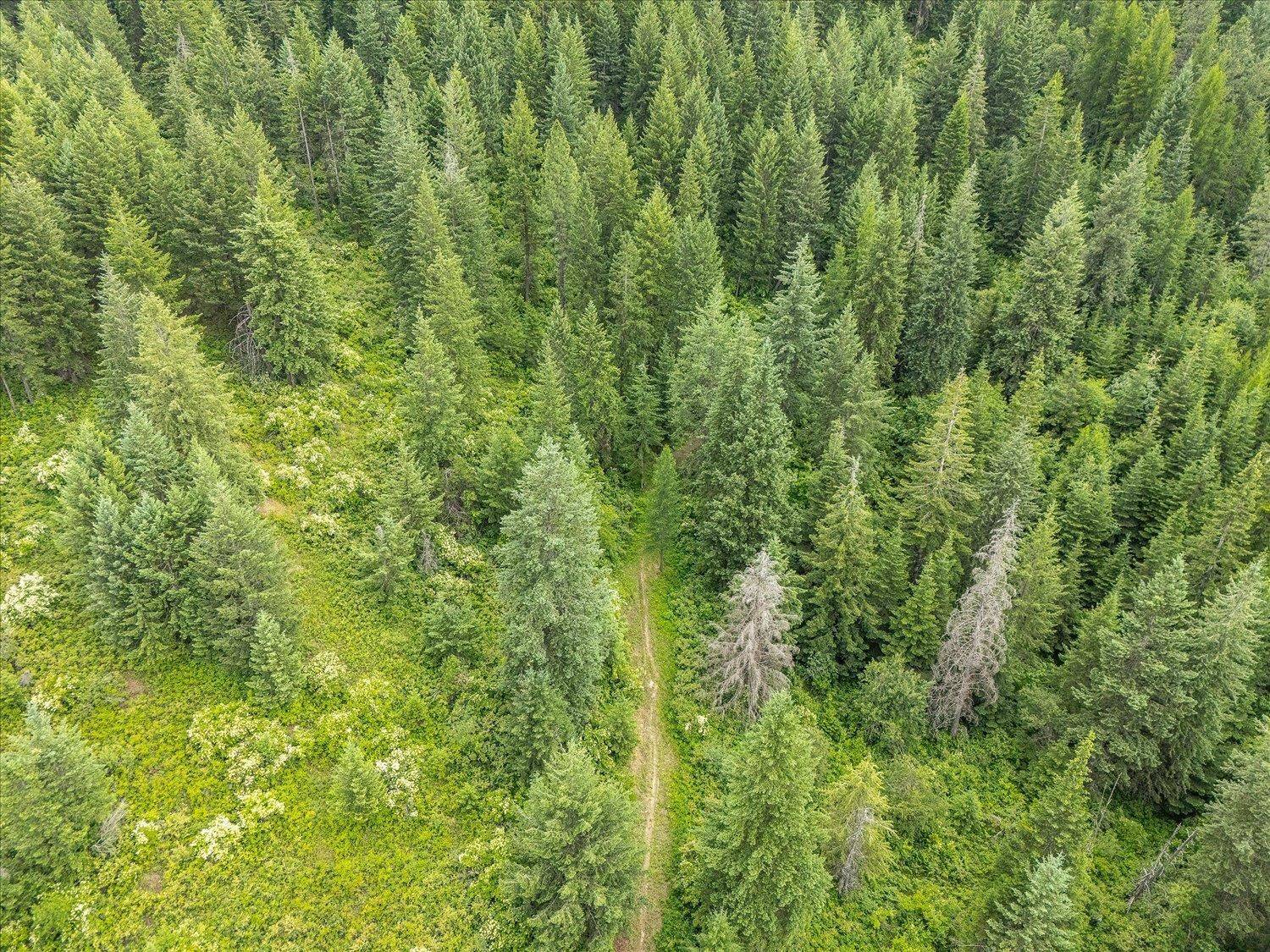 19960 N Mt Spokane Park Dr #Parcel # 47134.9099, Mead, WA 99021