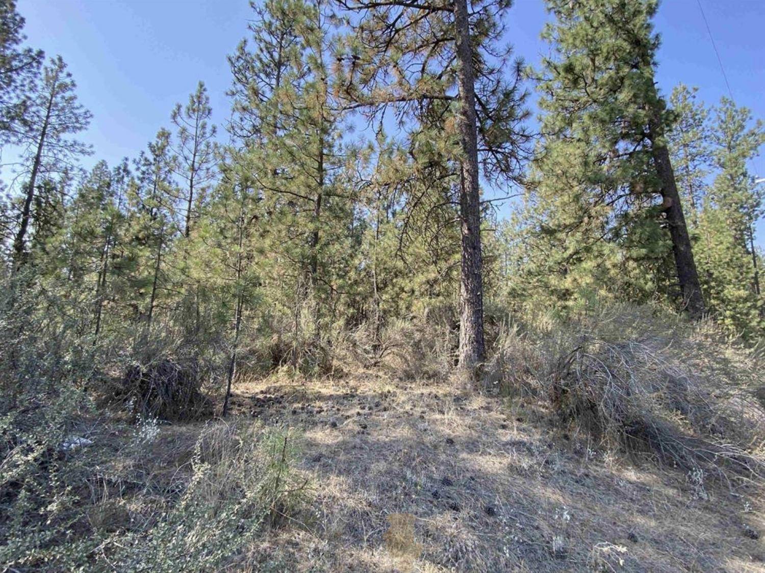 5xxx WA 291 Hwy, Nine Mile Falls, WA 99026