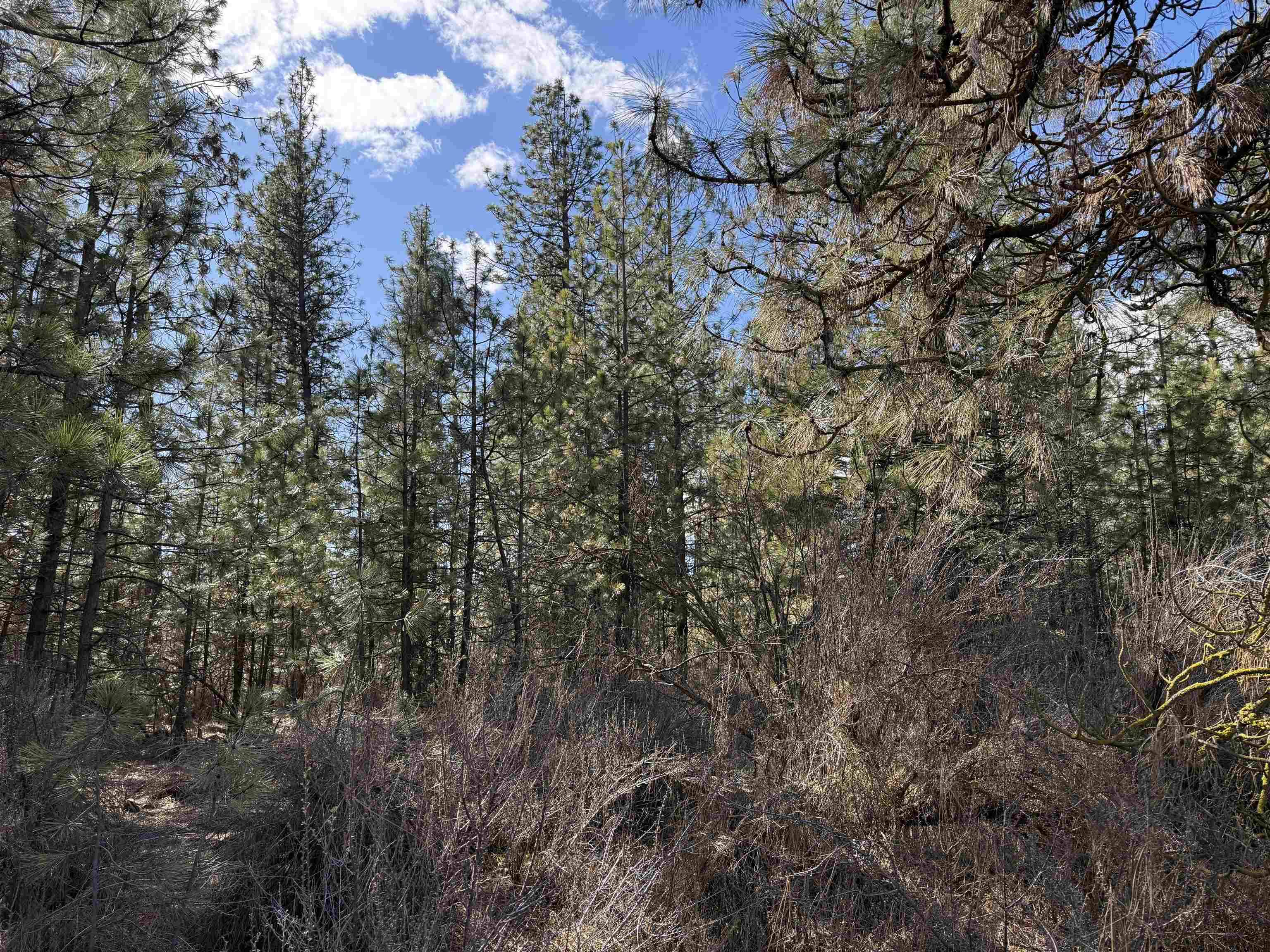5xxx WA 291 Hwy, Nine Mile Falls, WA 99026