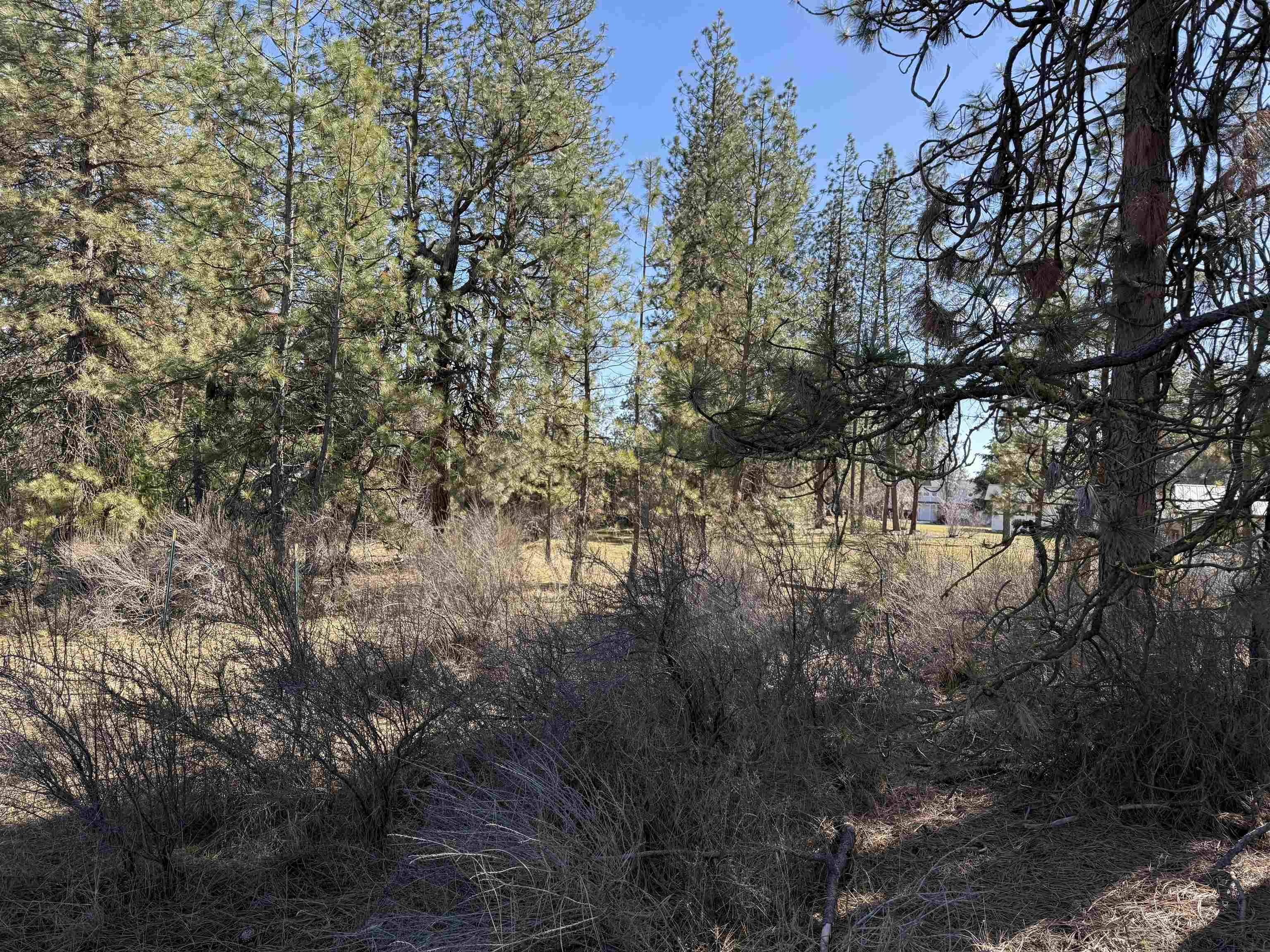 5xxx WA 291 Hwy, Nine Mile Falls, WA 99026