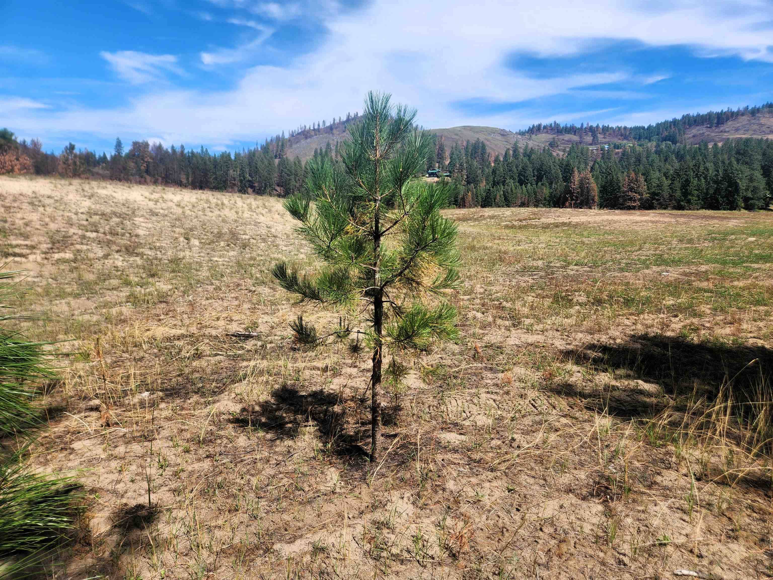 34XX Northport Flat Creek Rd, Kettle Falls, WA 99141-9998