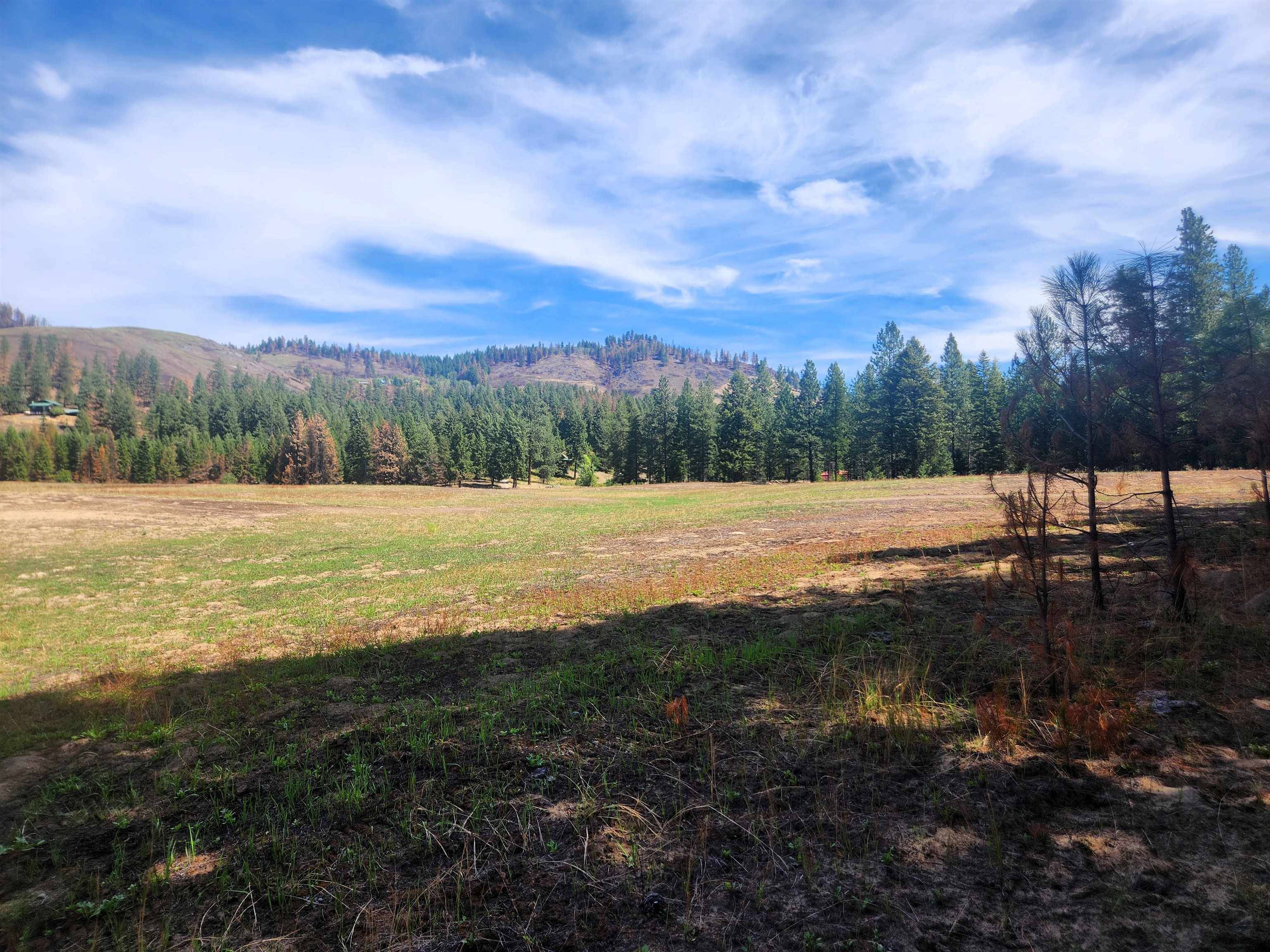 34XX Northport Flat Creek Rd, Kettle Falls, WA 99141-9998