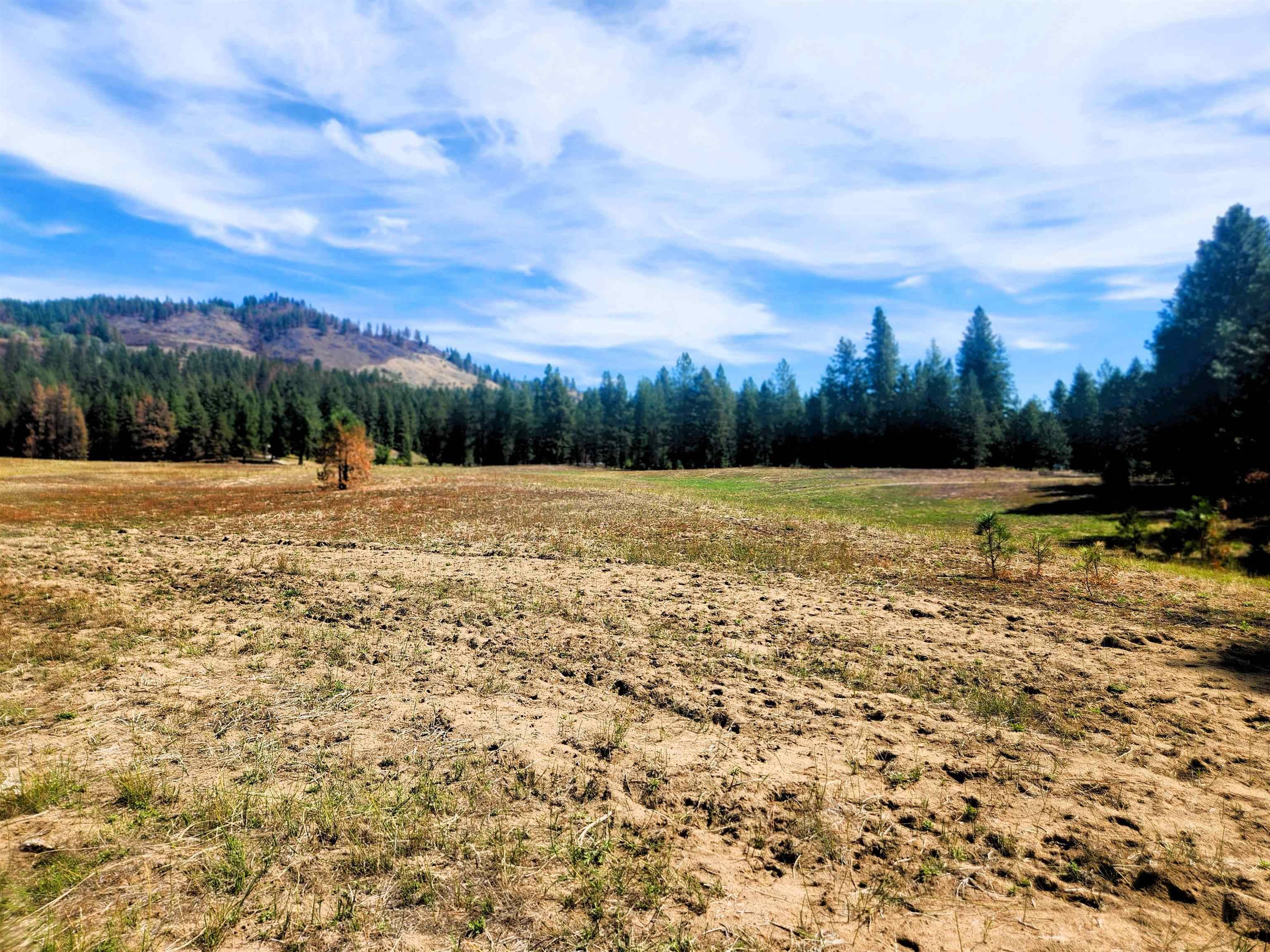 34XX Northport Flat Creek Rd, Kettle Falls, WA 99141-9998