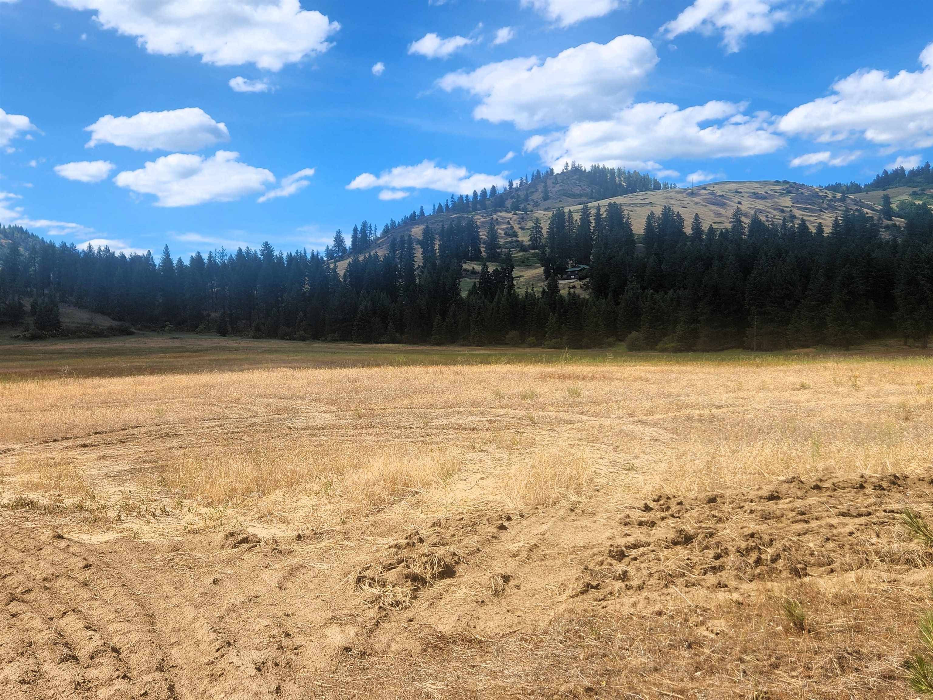 34XX Northport Flat Creek Rd, Kettle Falls, WA 99141-9998