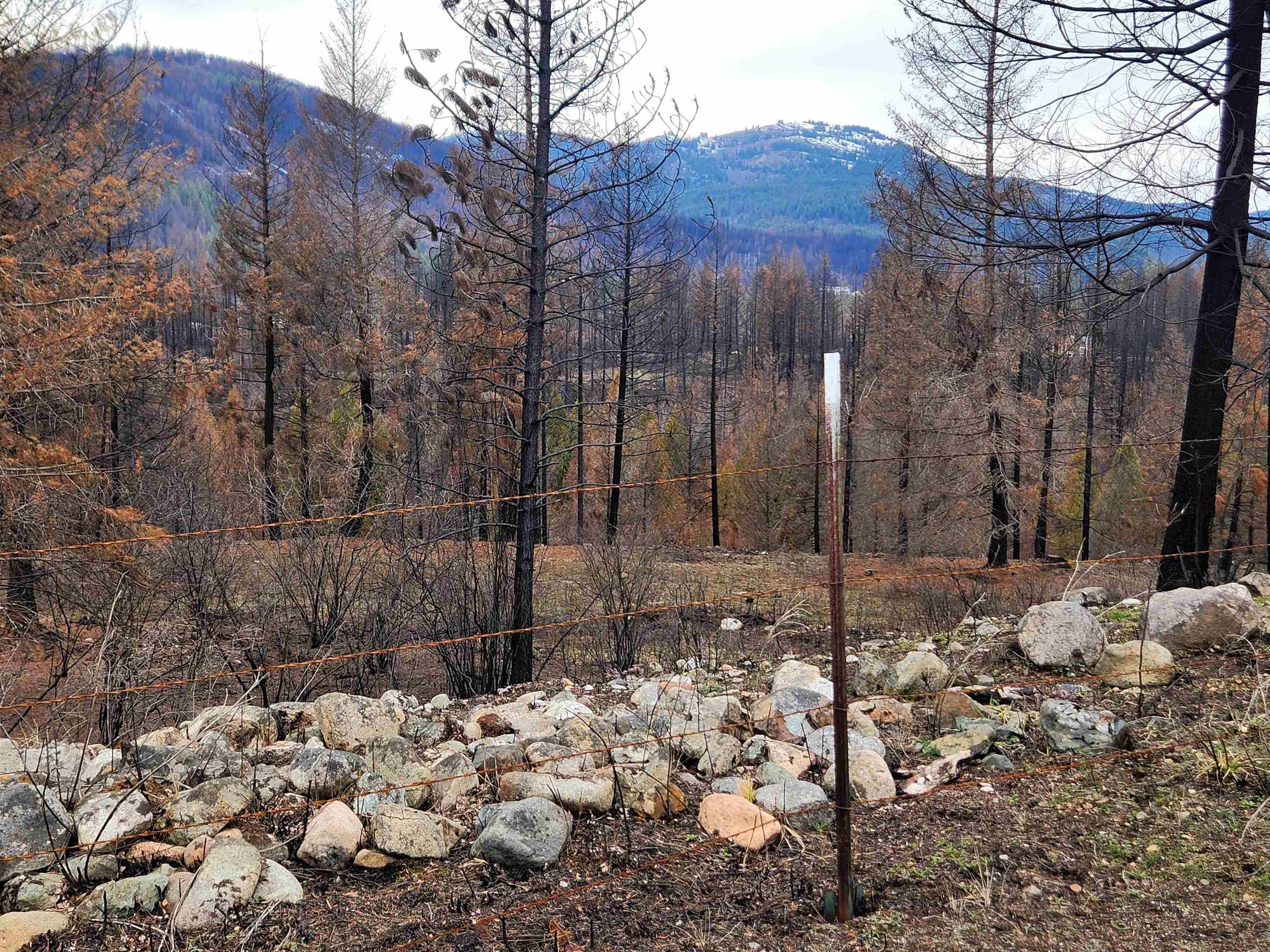 34XX Northport Flat Creek Rd, Kettle Falls, WA 99141-9999