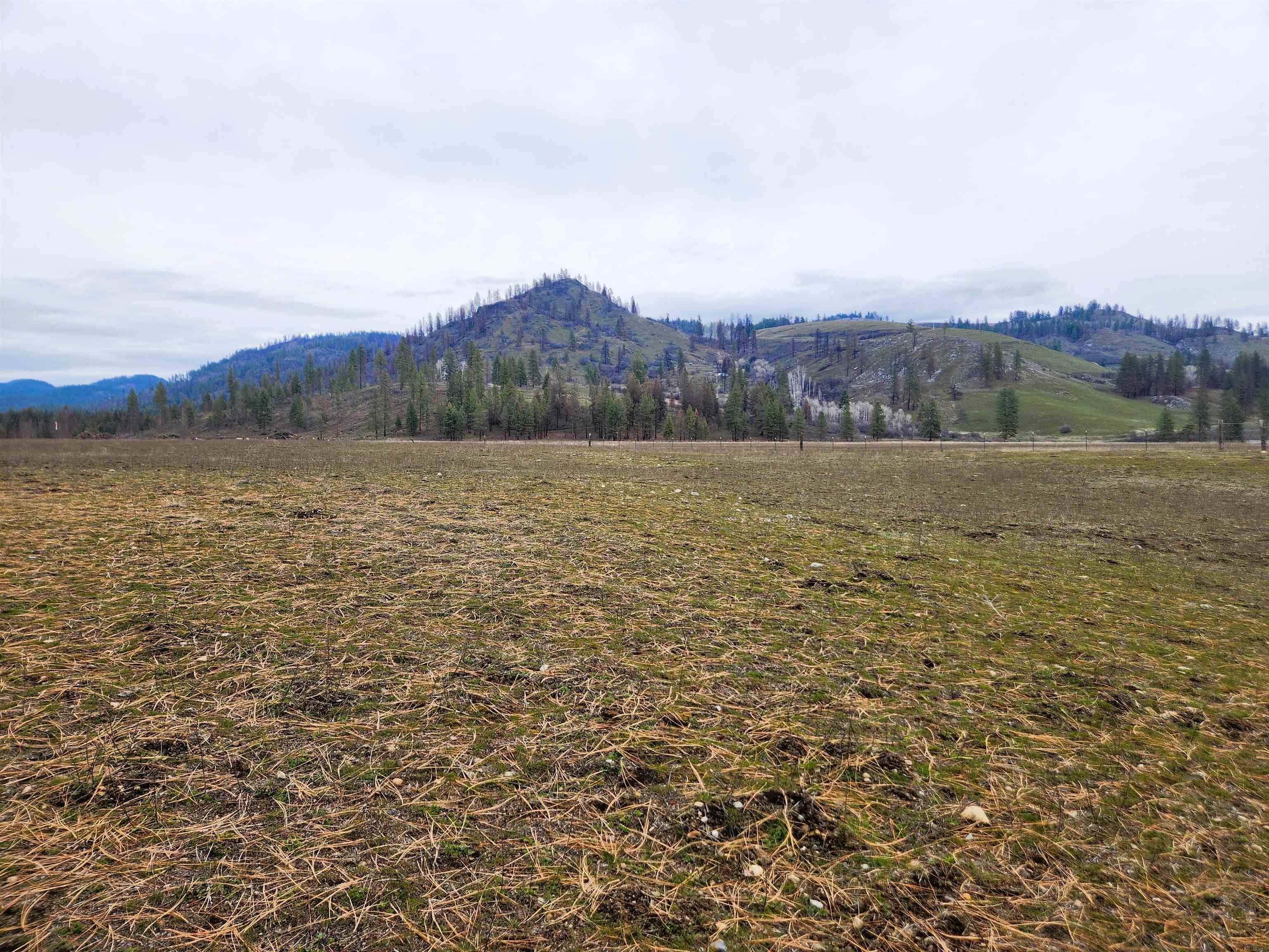 34XX Northport Flat Creek Rd, Kettle Falls, WA 99141-9999