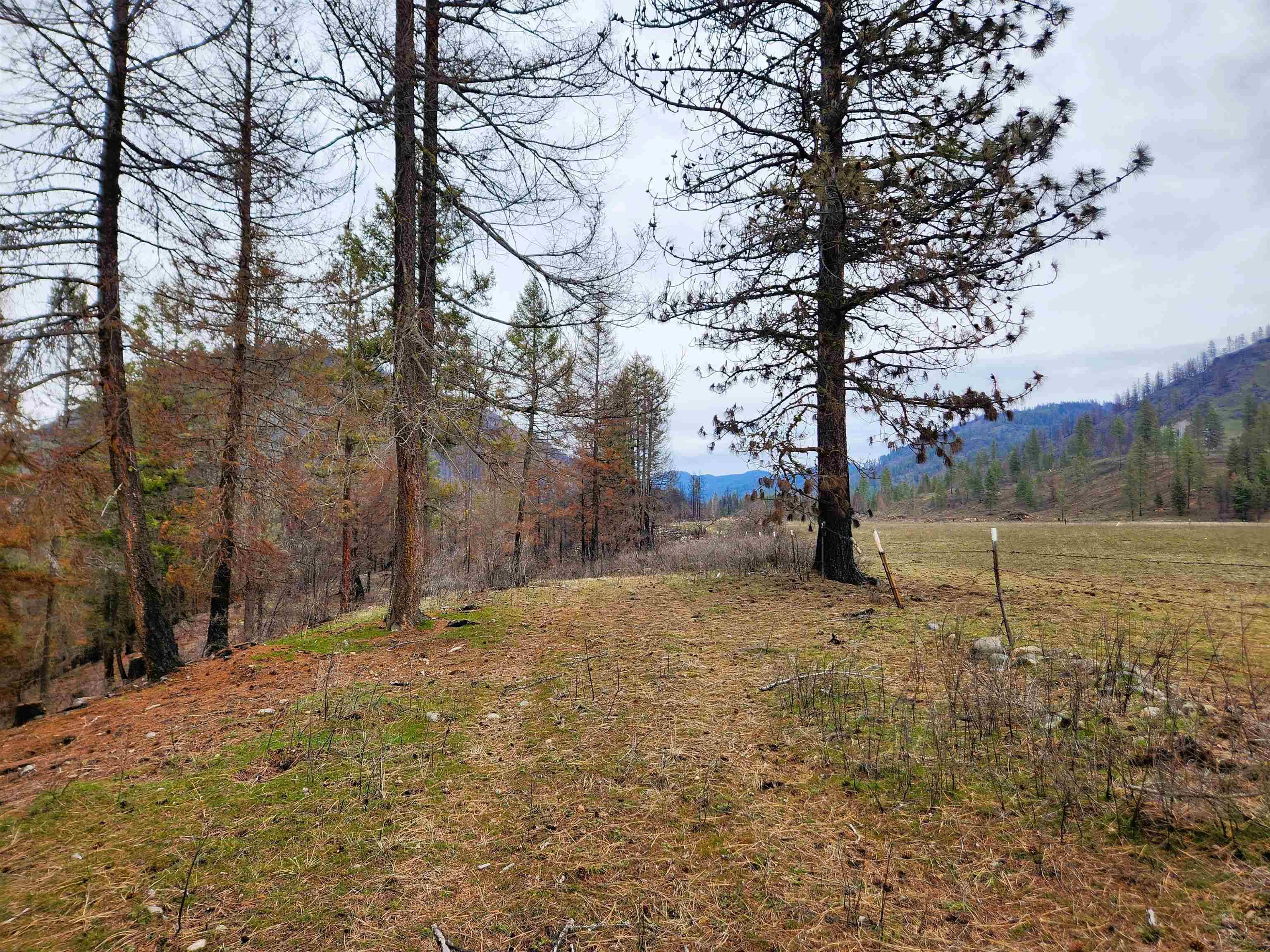 34XX Northport Flat Creek Rd, Kettle Falls, WA 99141-9999