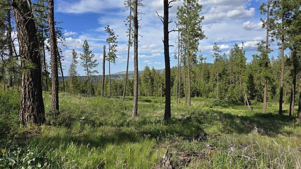 22XX Miller Rd, Spangle, WA 99031