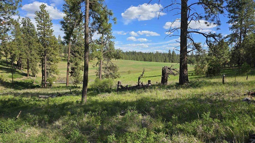 22XX Miller Rd, Spangle, WA 99031
