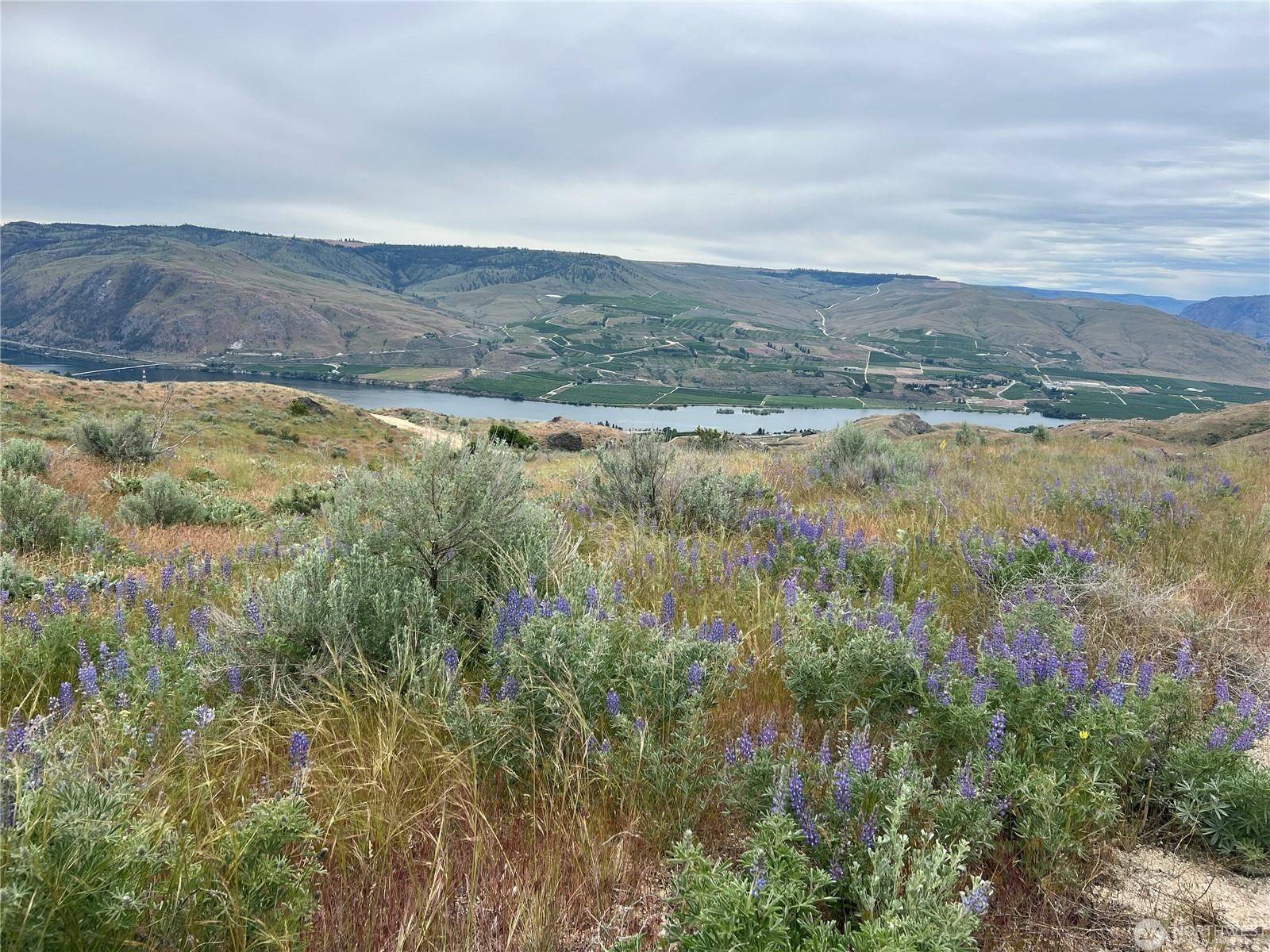 NNA Windmill Rd, Brewster, WA 98812