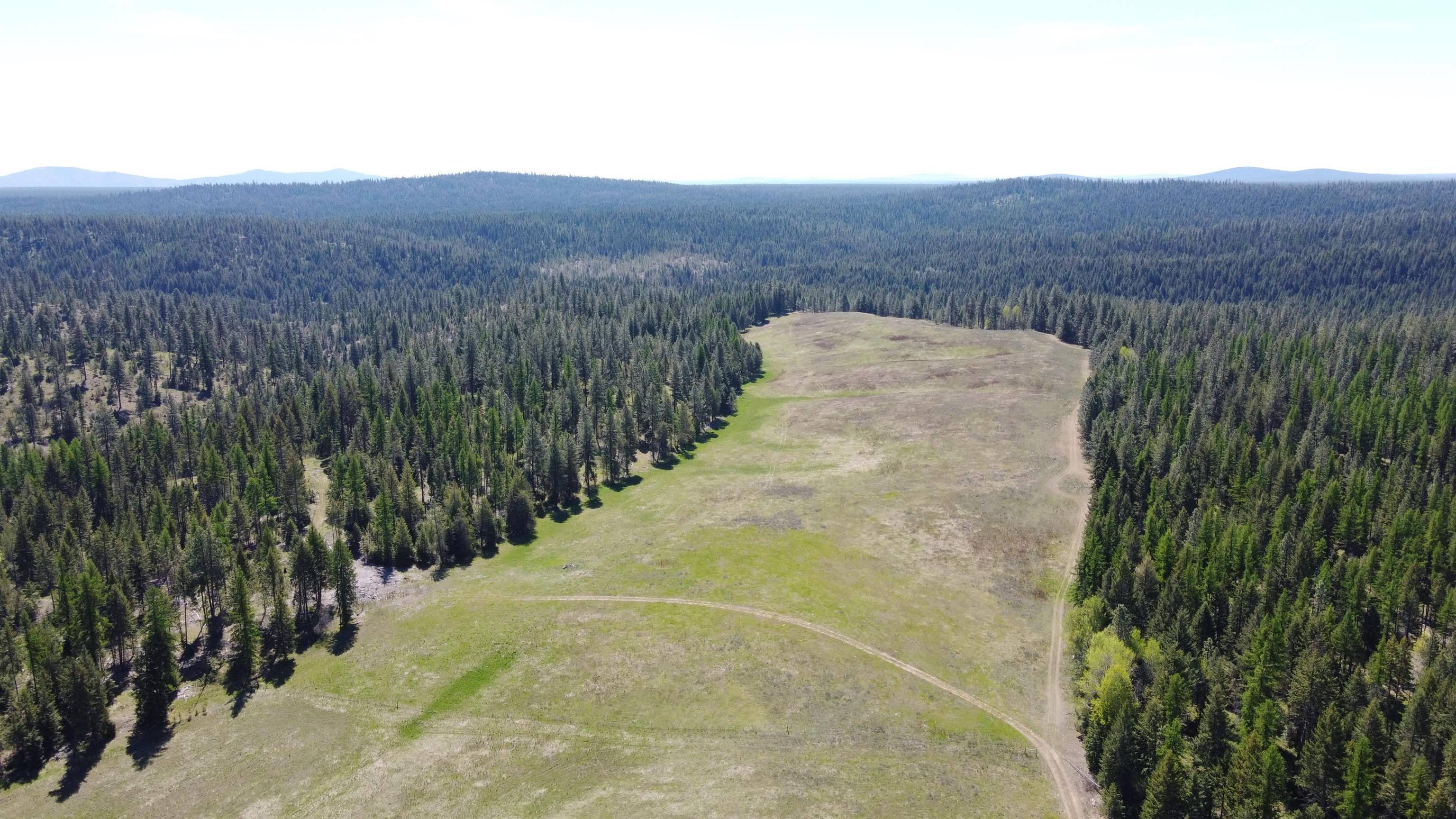 52xx Wagner Lot C Rd, Springdale, WA 99173