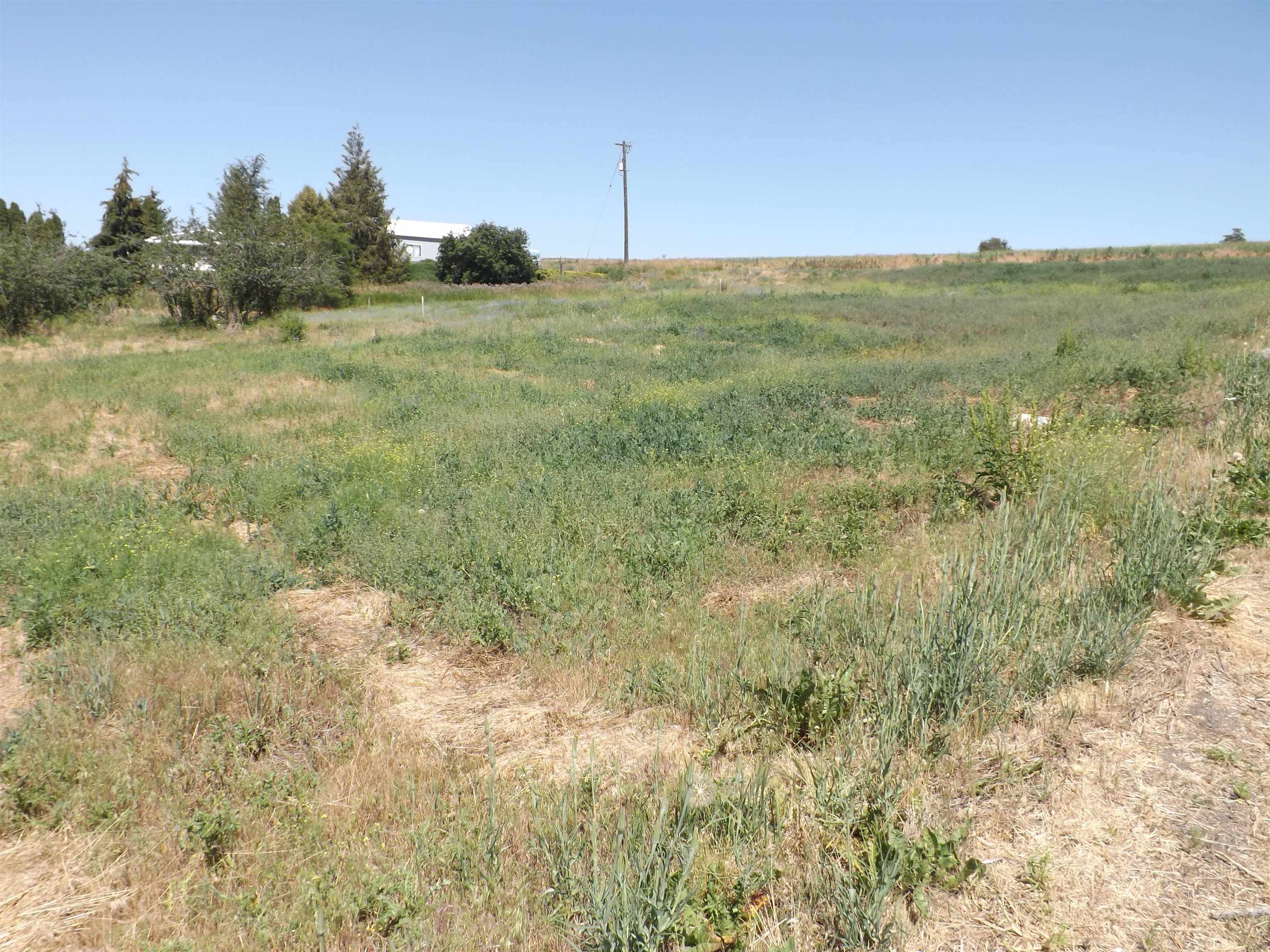 xxx E A St, Rosalia, WA 99170