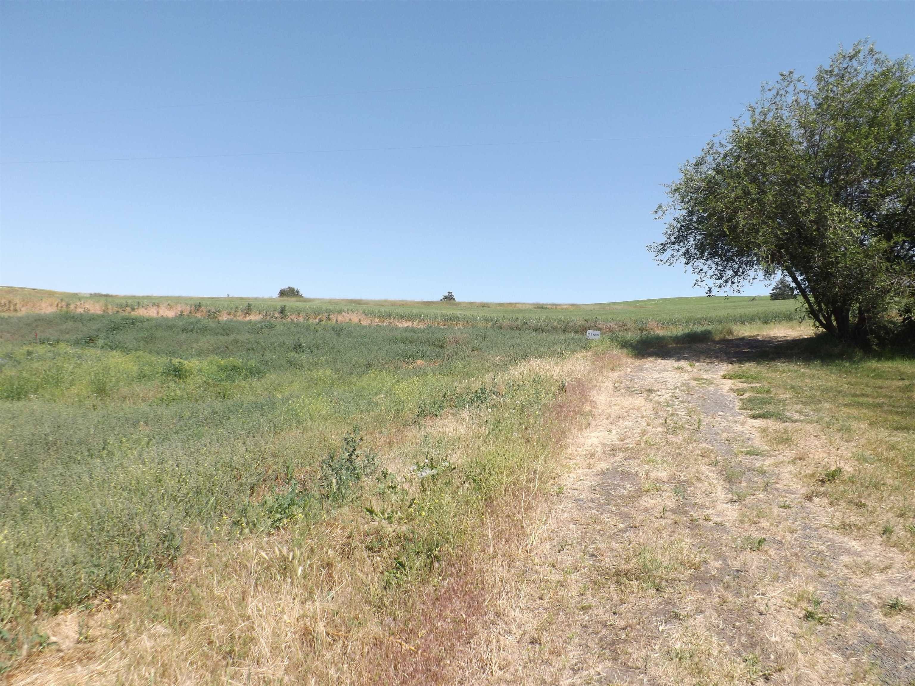 xxx E A St, Rosalia, WA 99170