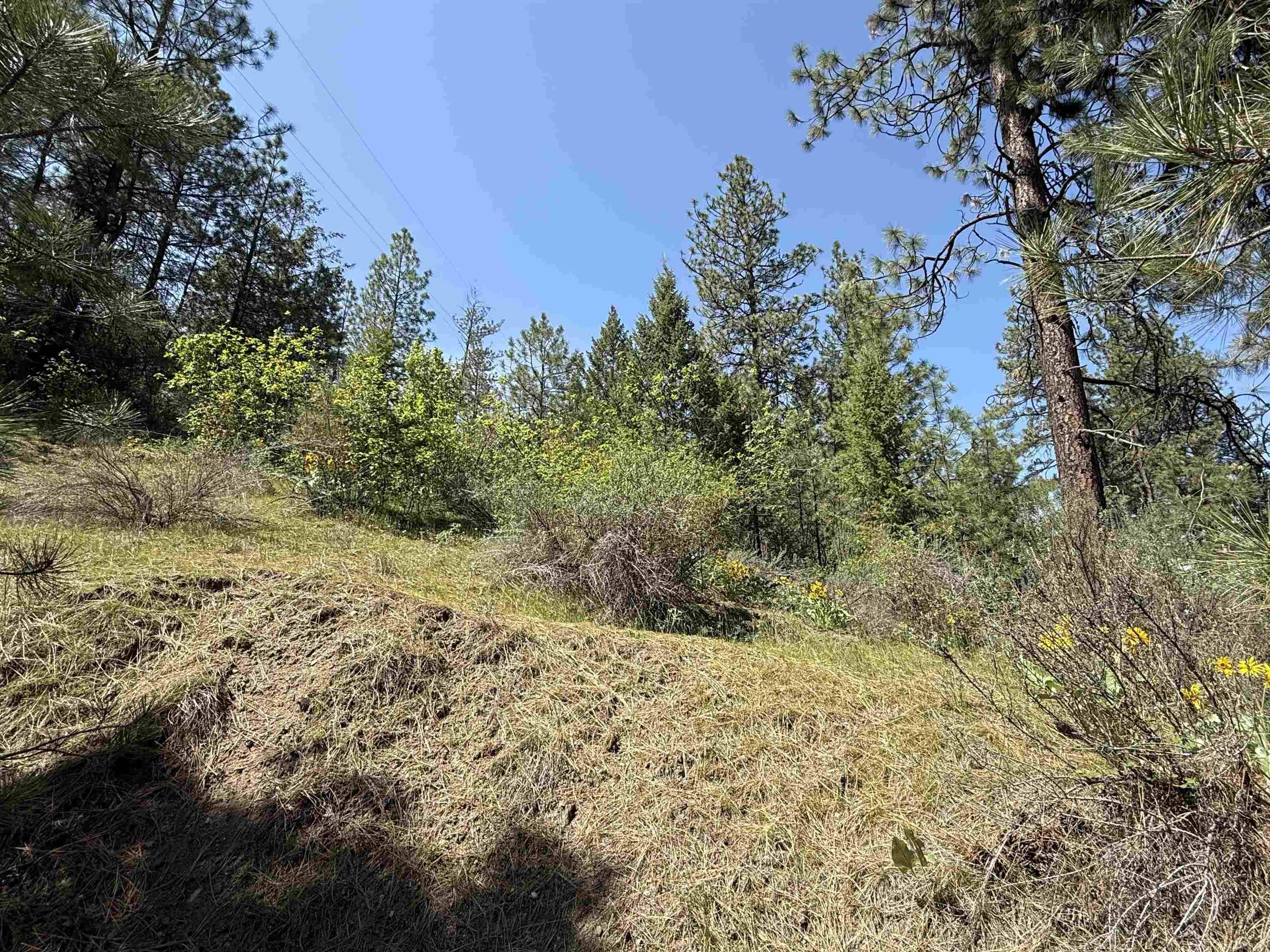 42078 N Porcupine Bay Rd, Davenport, WA 99122