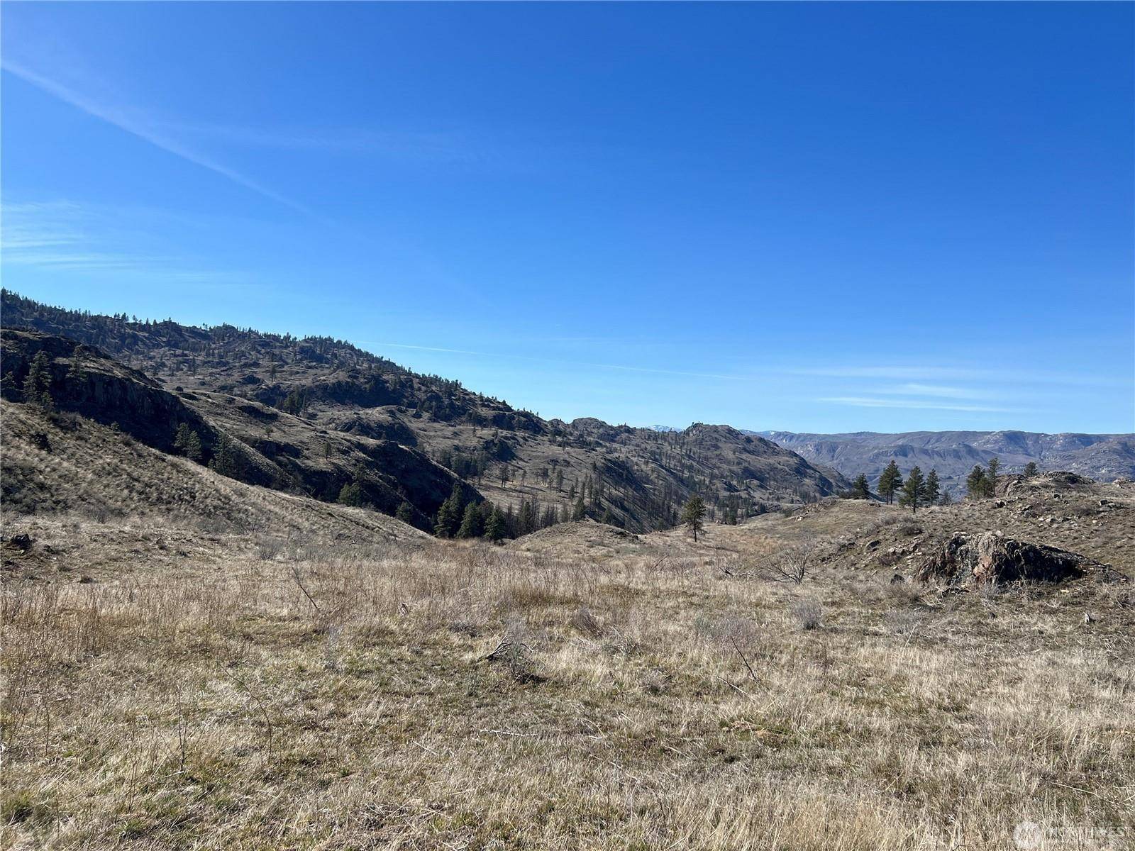 NNA Soap Lake Rd, Malott, WA 98829
