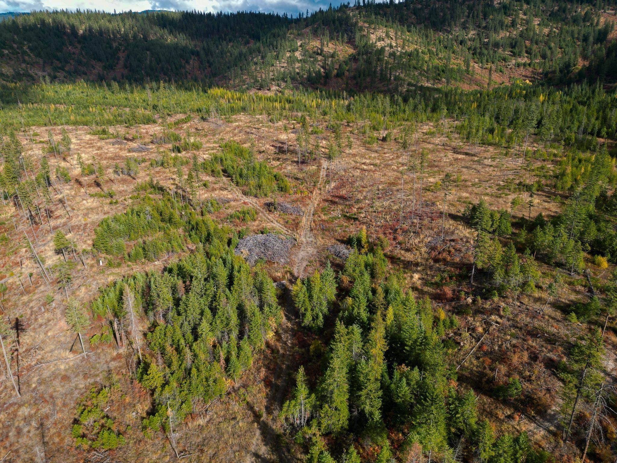 4684 Grouse Creek Rd, Chewelah, WA 99109