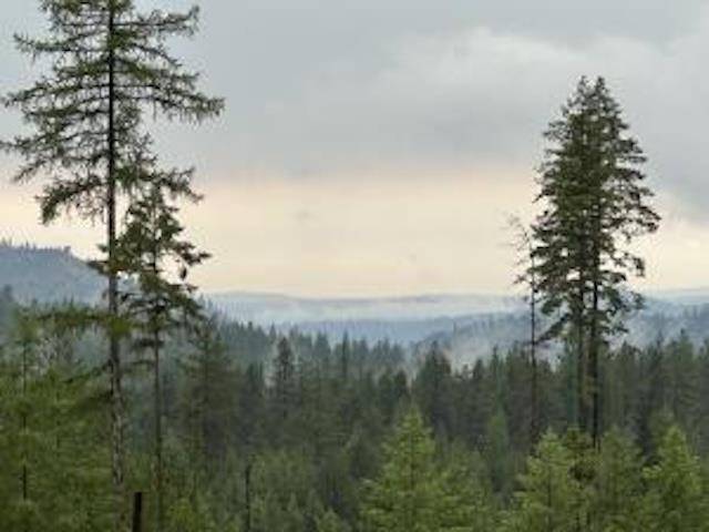 4684 Grouse Creek Rd, Chewelah, WA 99109