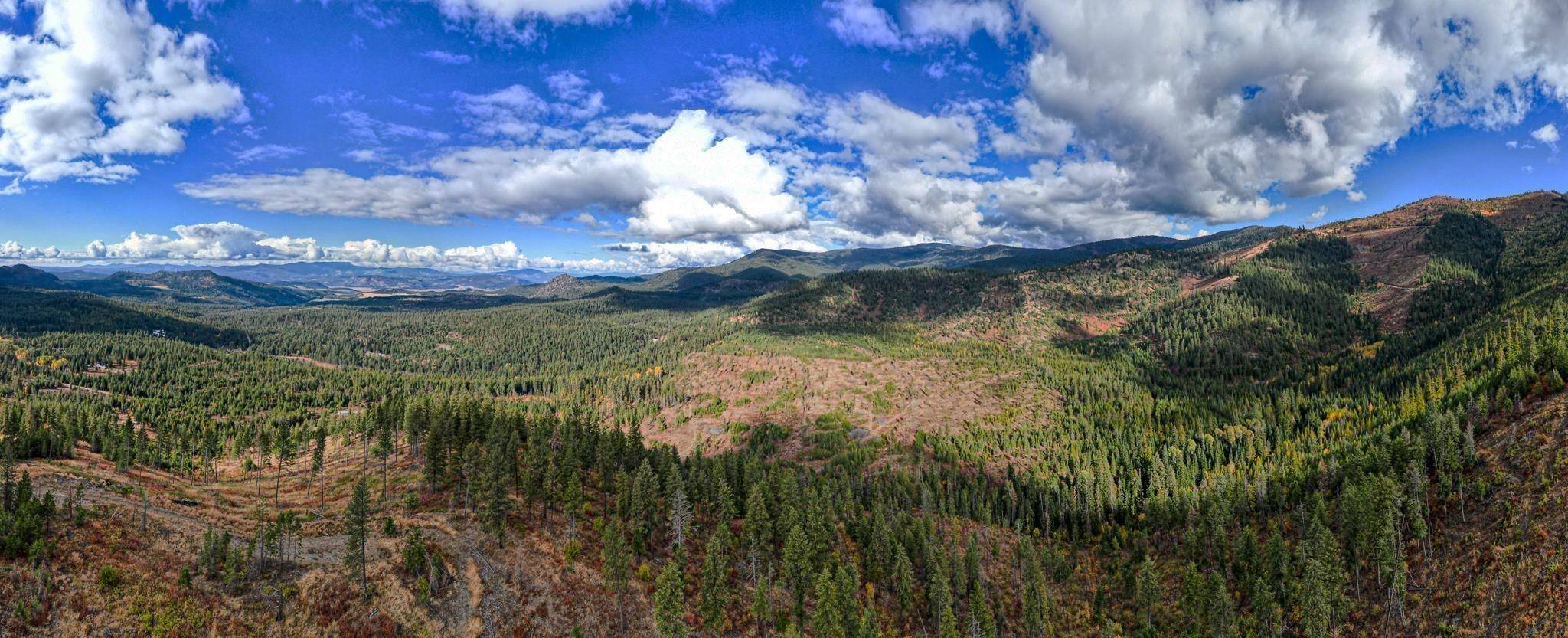 4684 Grouse Creek Rd, Chewelah, WA 99109