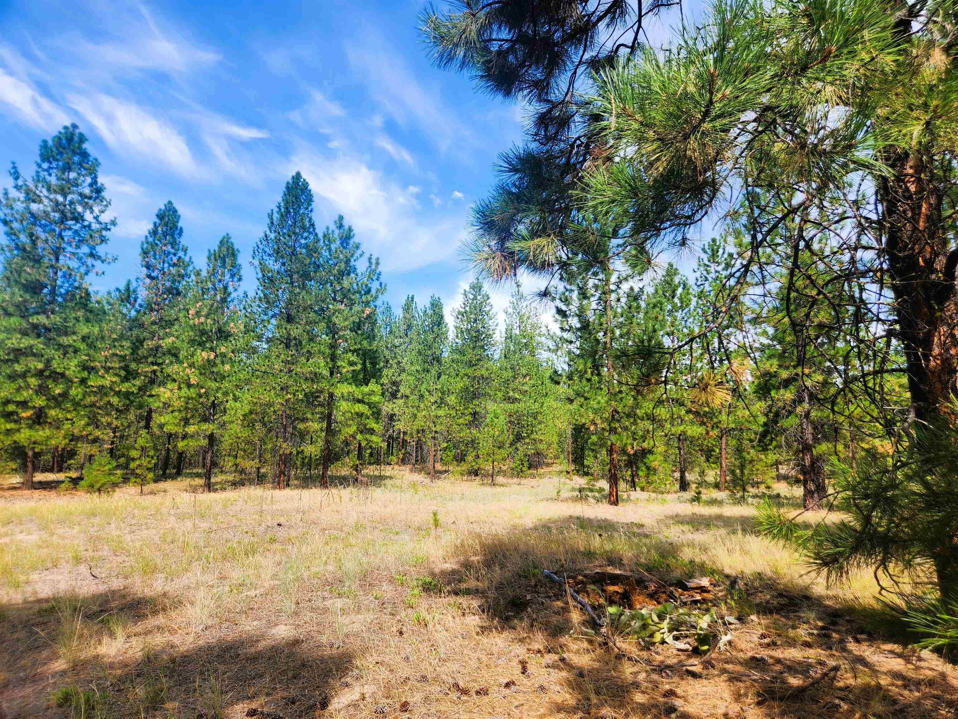 1866K Northport Flat Creek Rd, Kettle Falls, WA 99141-9998