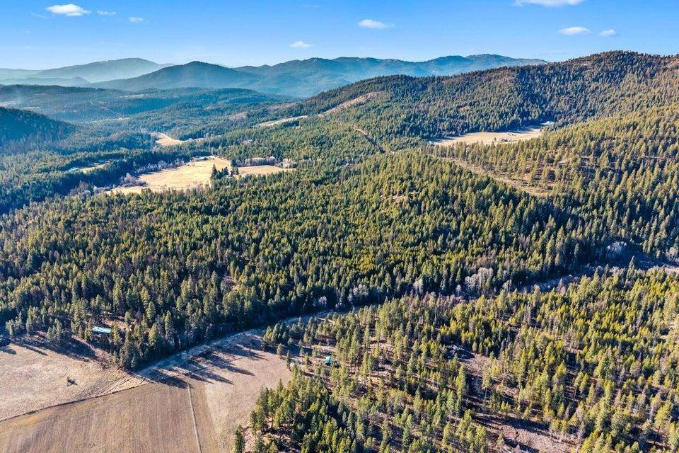28XX Burnt Valley (80ac) Rd, Chewelah, WA 99109