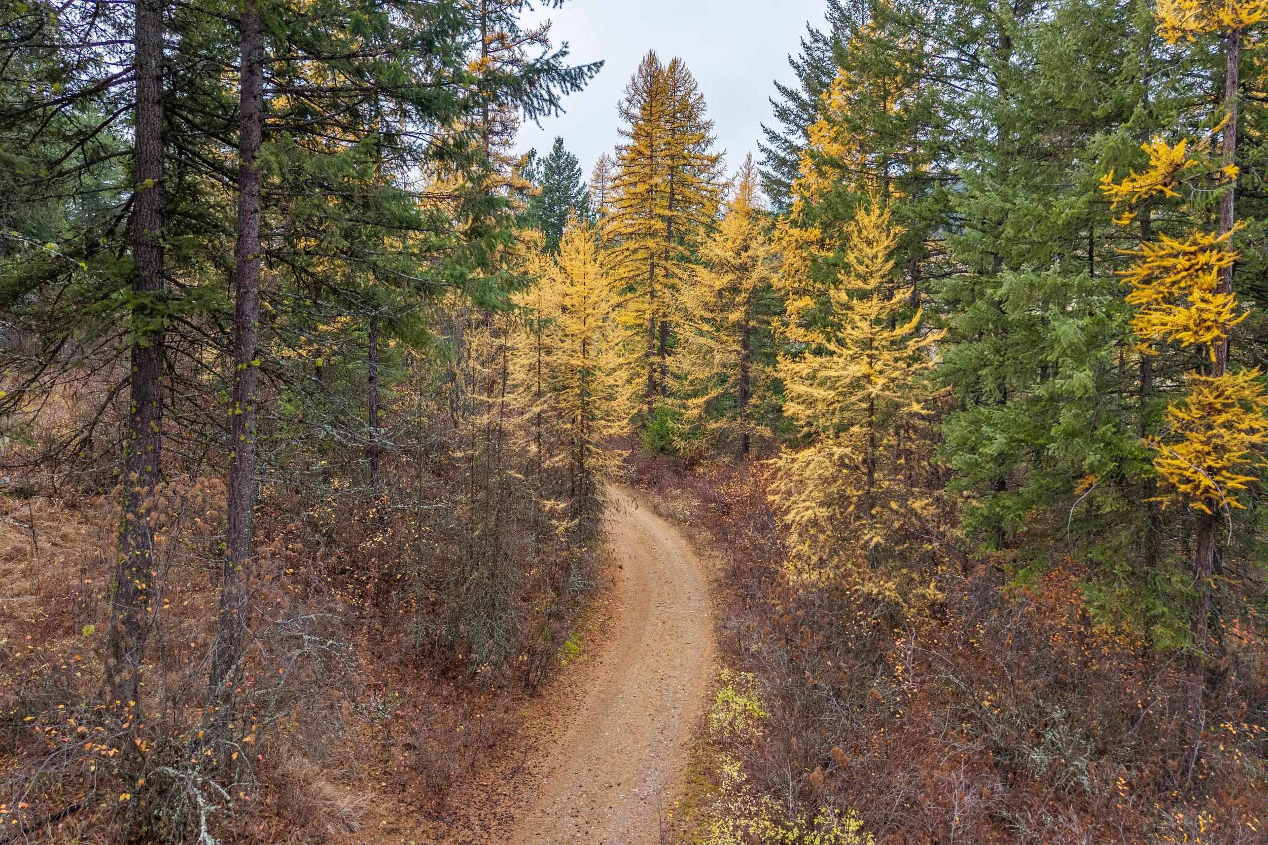 700 L Dry Gulch Rd, Colville, WA 99114