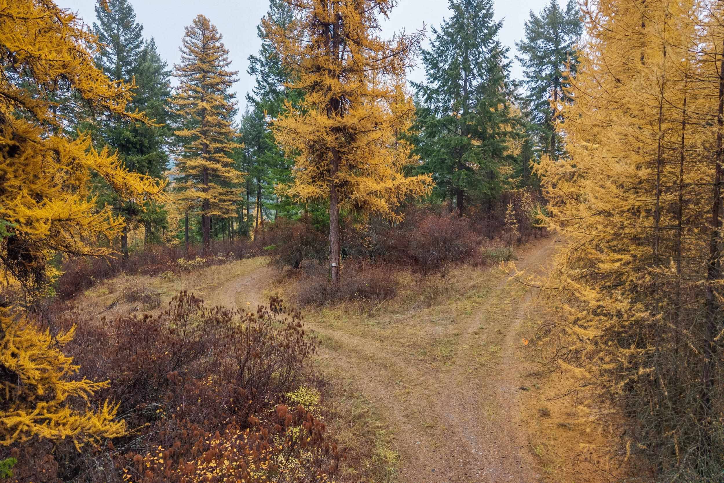 700 L Dry Gulch Rd, Colville, WA 99114