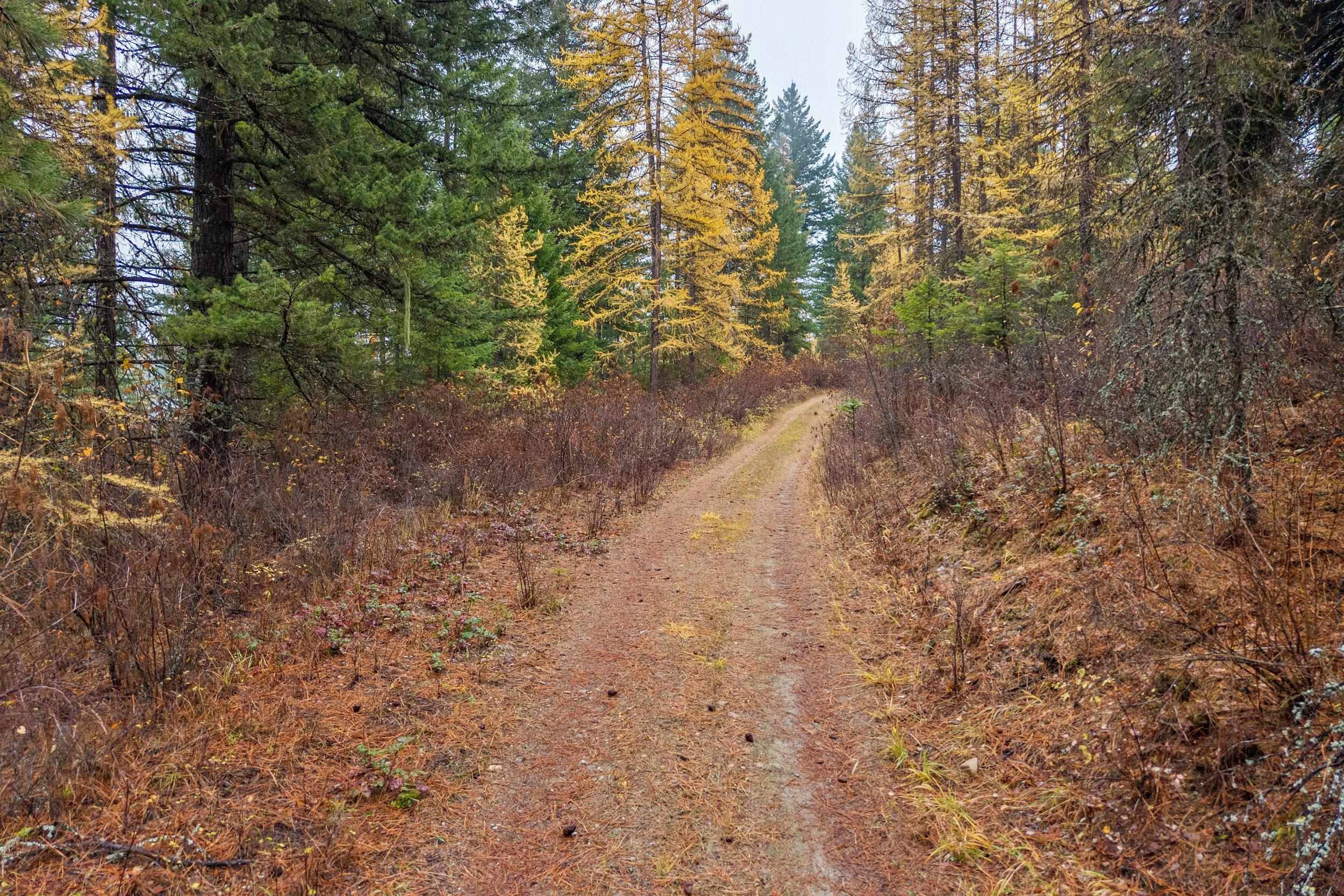 700 L Dry Gulch Rd, Colville, WA 99114