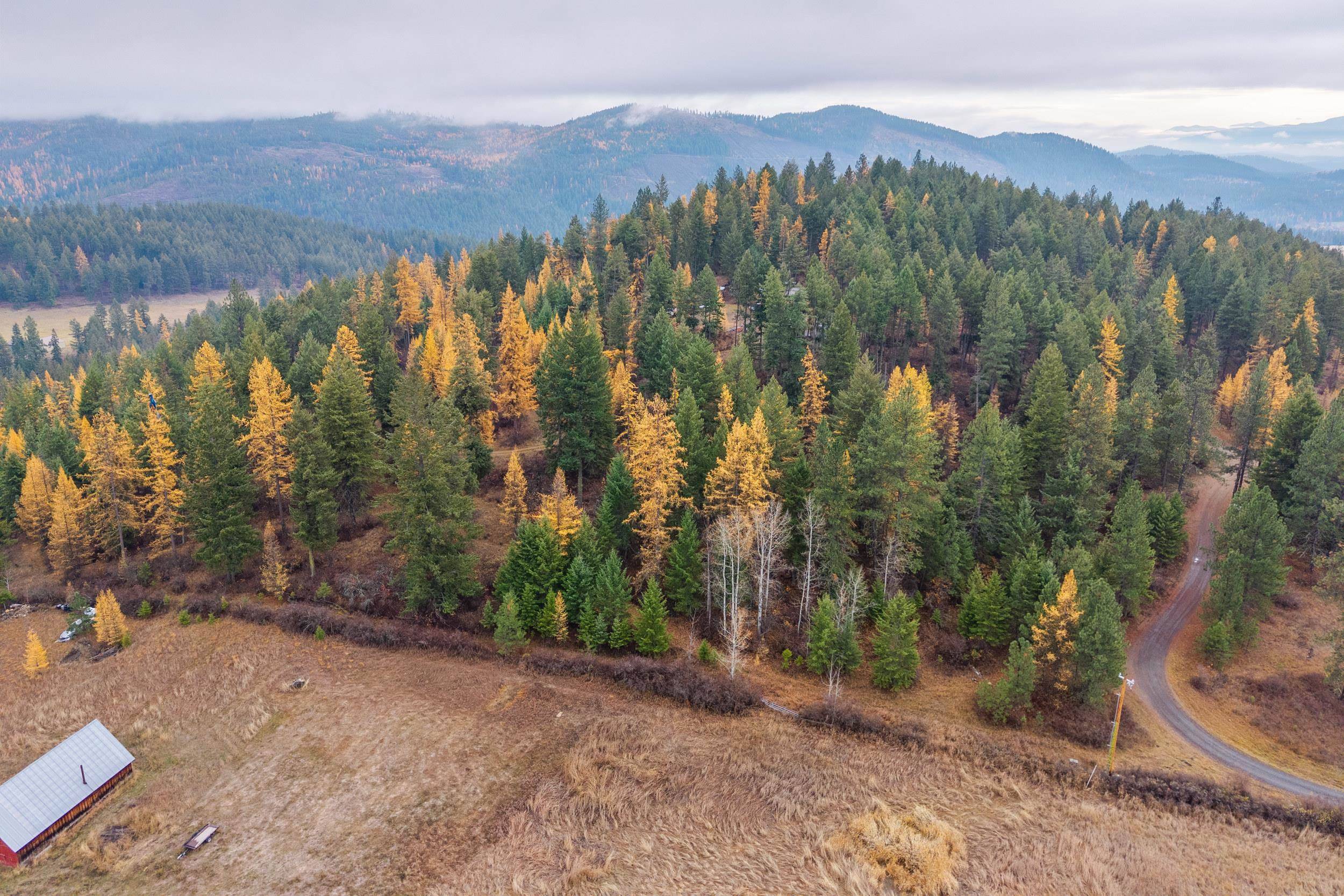 700 L Dry Gulch Rd, Colville, WA 99114