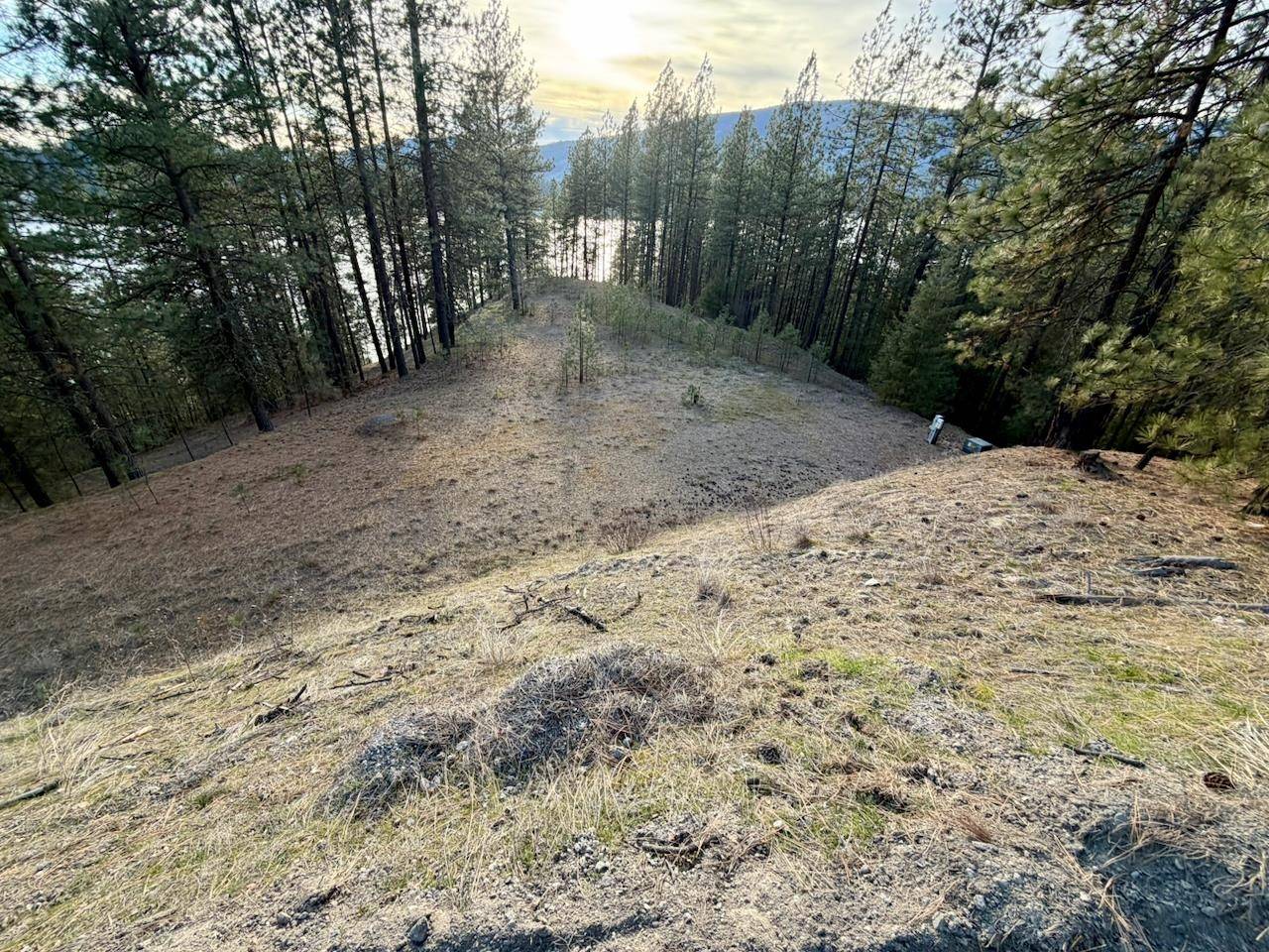 1199 Gold Edge Mine Rd, Kettle Falls, WA 99141