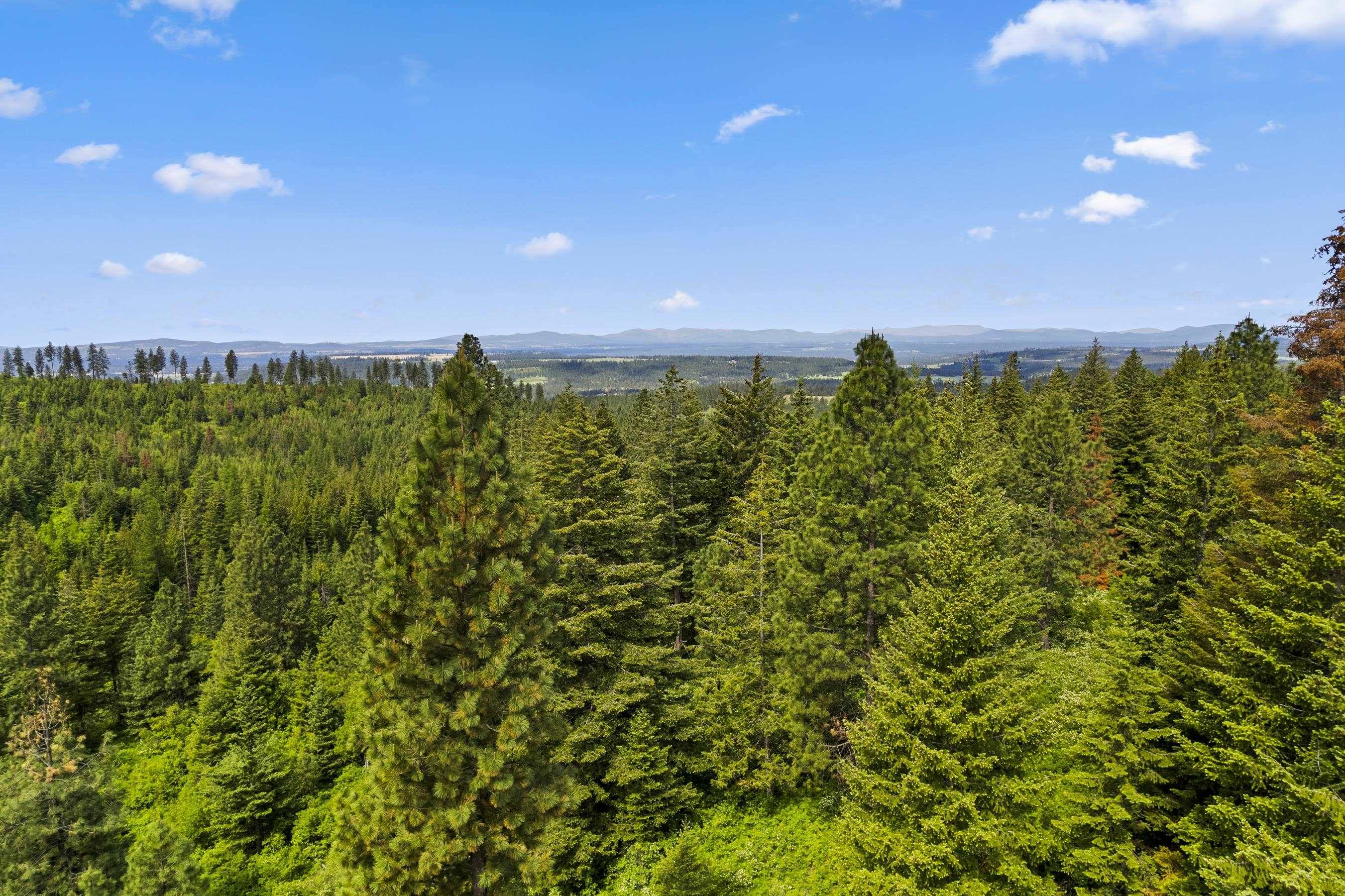 15124 E Emery Rd, Chattaroy, WA 99003