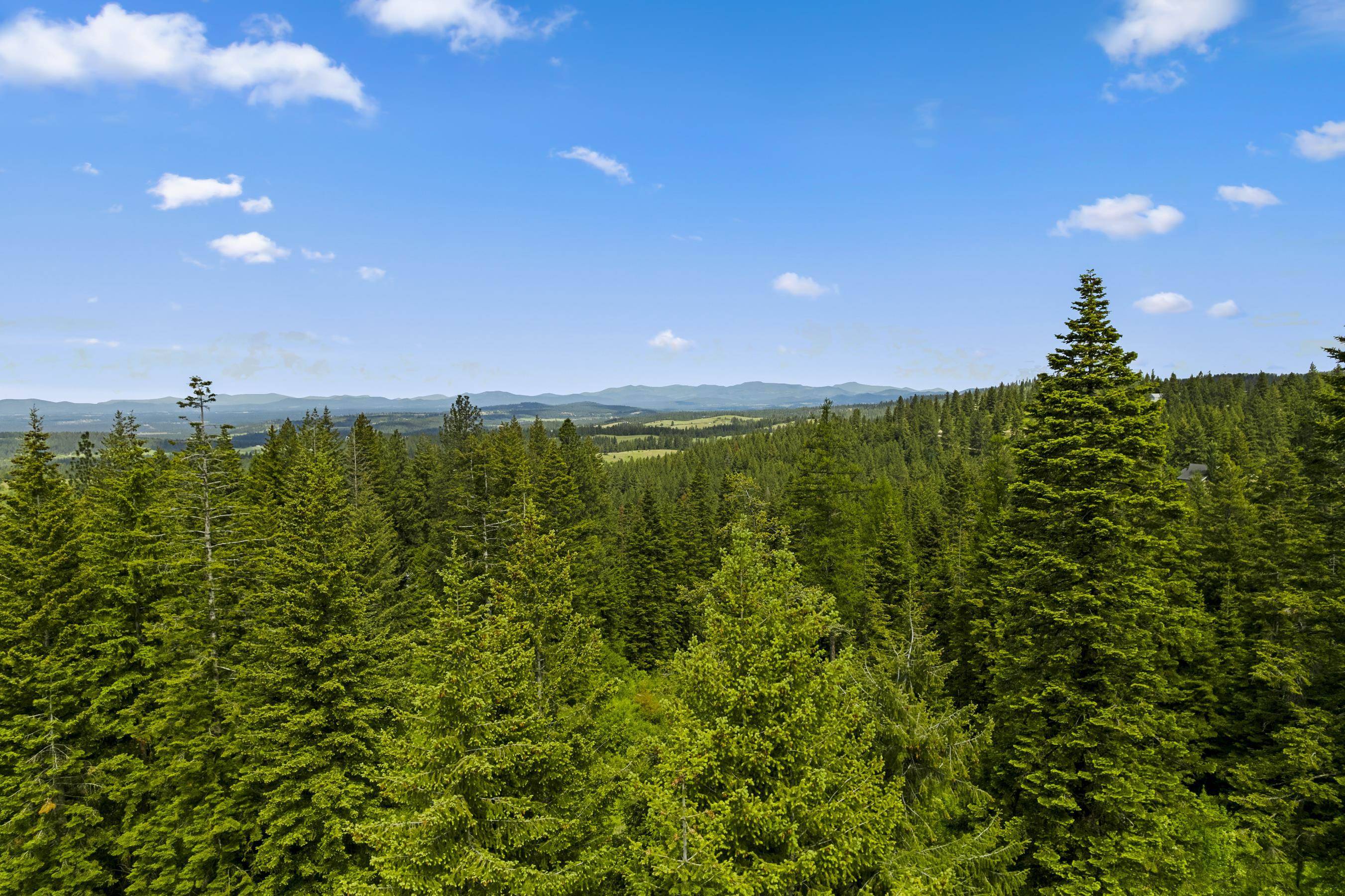 15124 E Emery Rd, Chattaroy, WA 99003