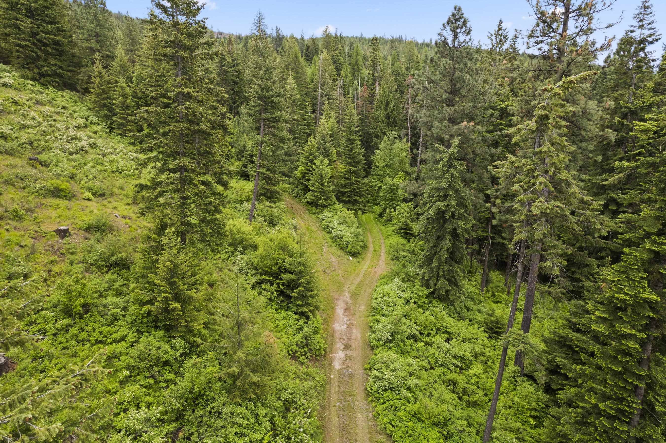 15124 E Emery Rd, Chattaroy, WA 99003
