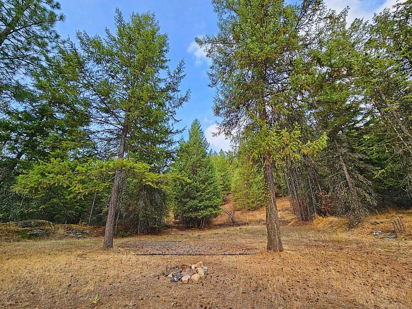 1631 Q N Bonanza Hill Rd, Evans, WA 99126-0000