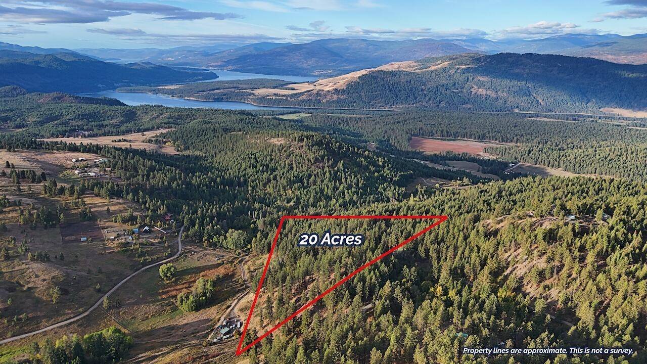 1631 Q N Bonanza Hill Rd, Evans, WA 99126-0000