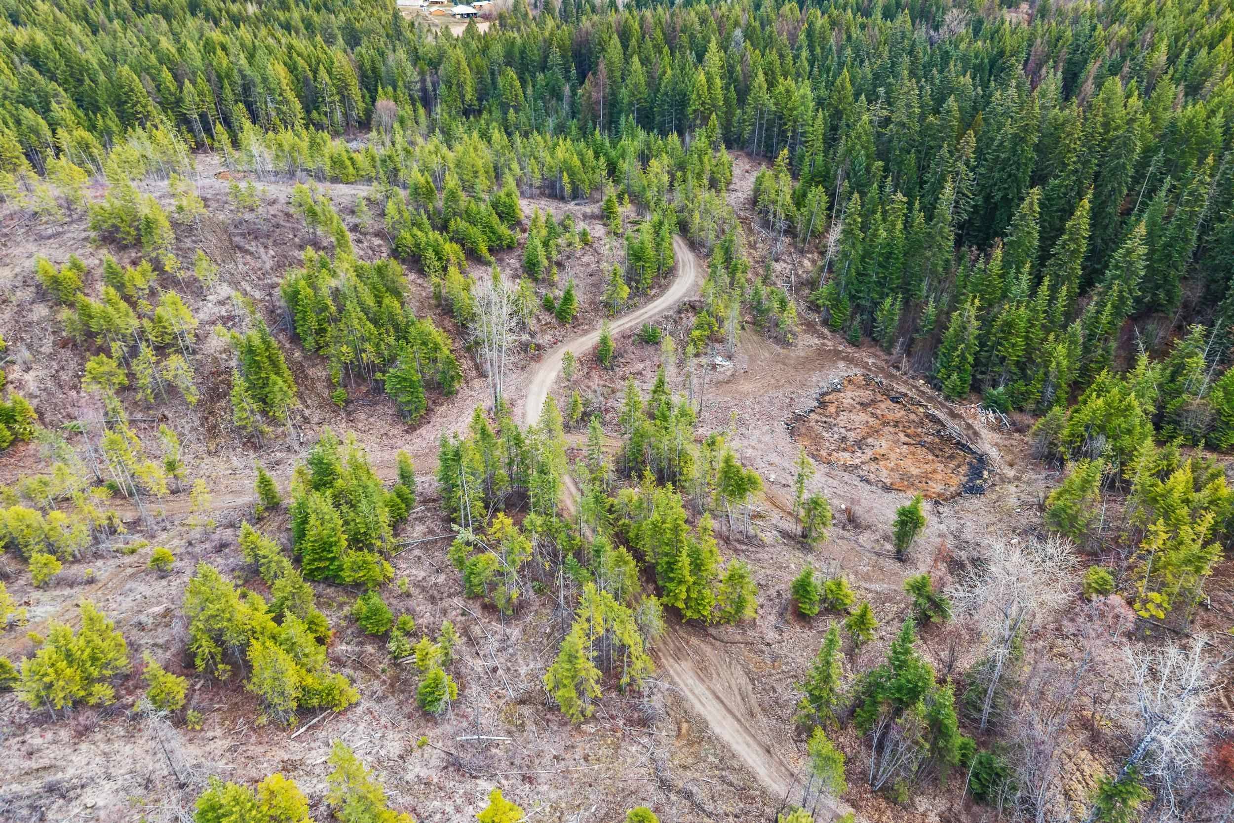36XX Lane Mountain WAY, Valley, WA 99109
