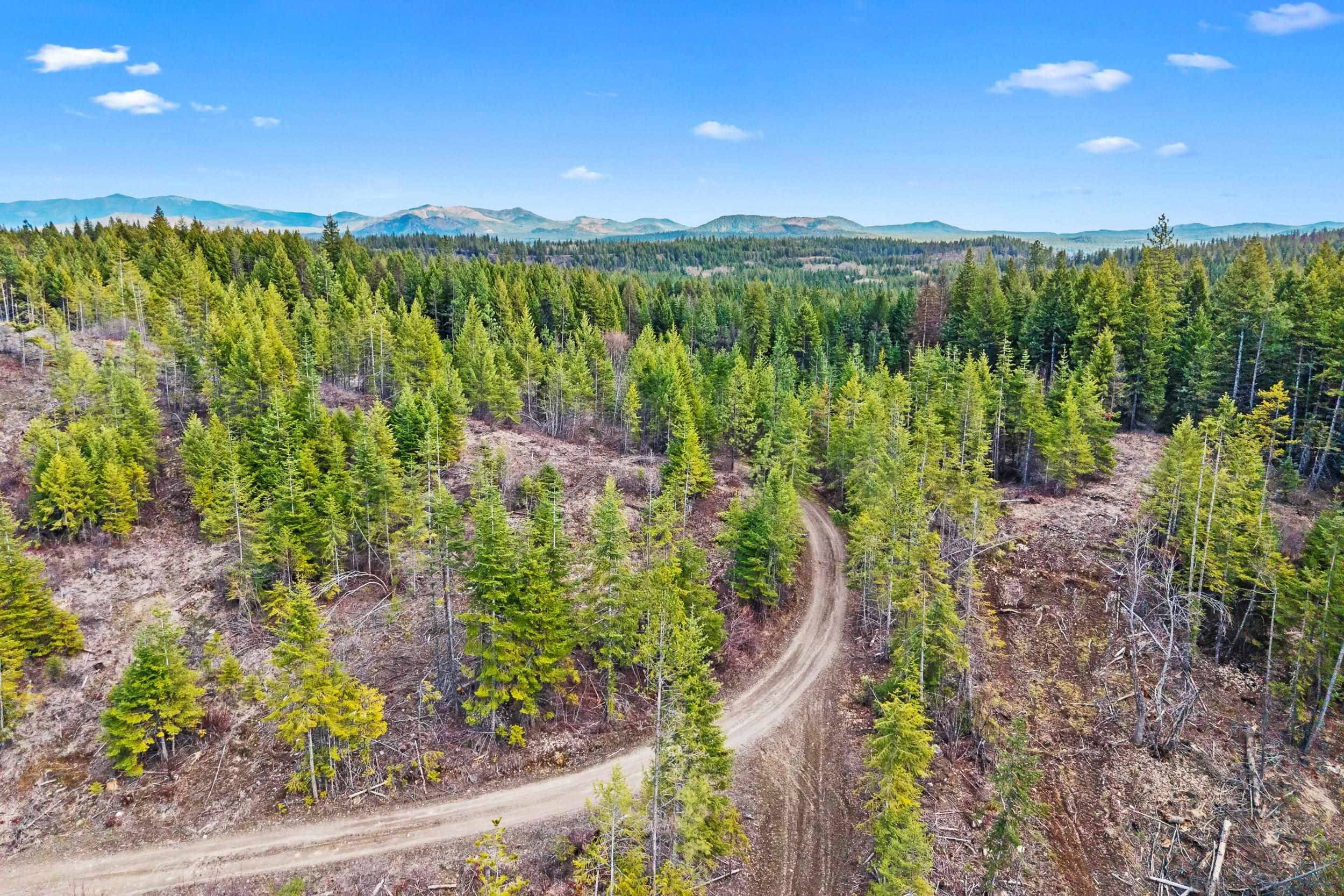 36XX Lane Mountain WAY, Valley, WA 99109