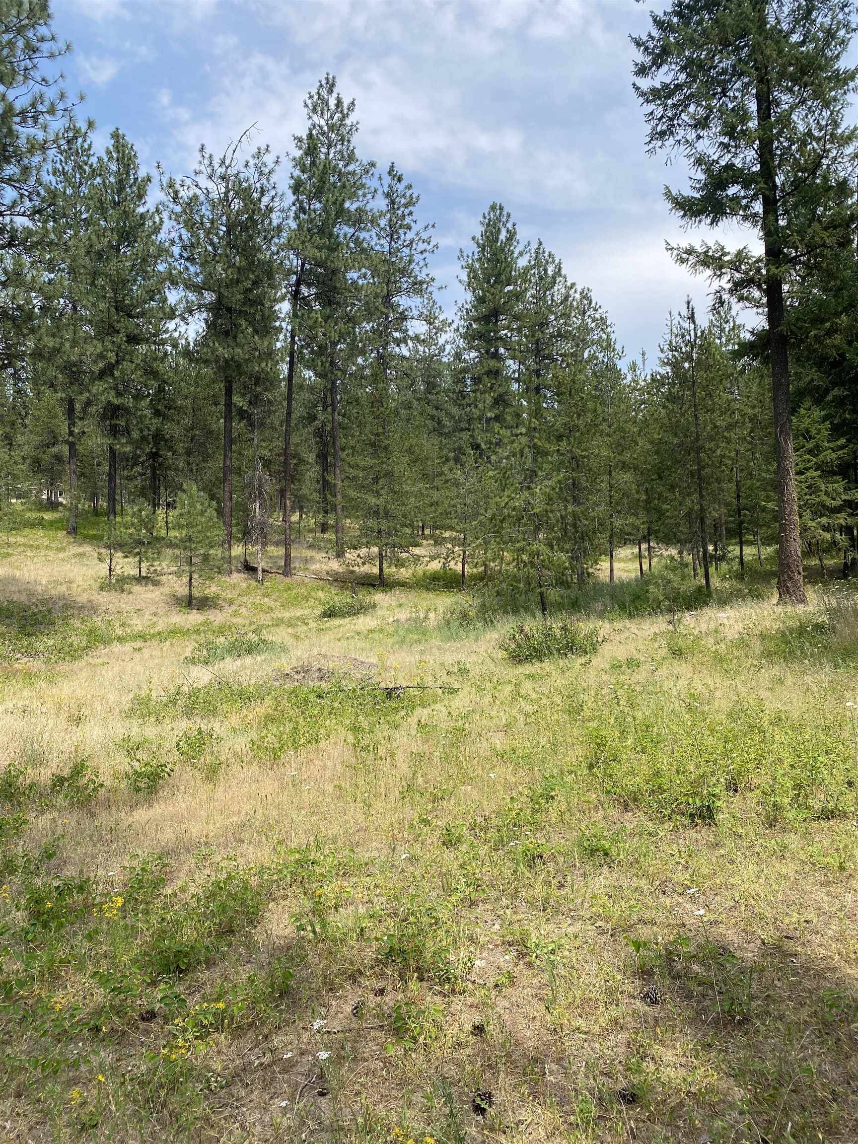 XXXXX E Elk-Chattaroy Rd, Elk, WA 99009