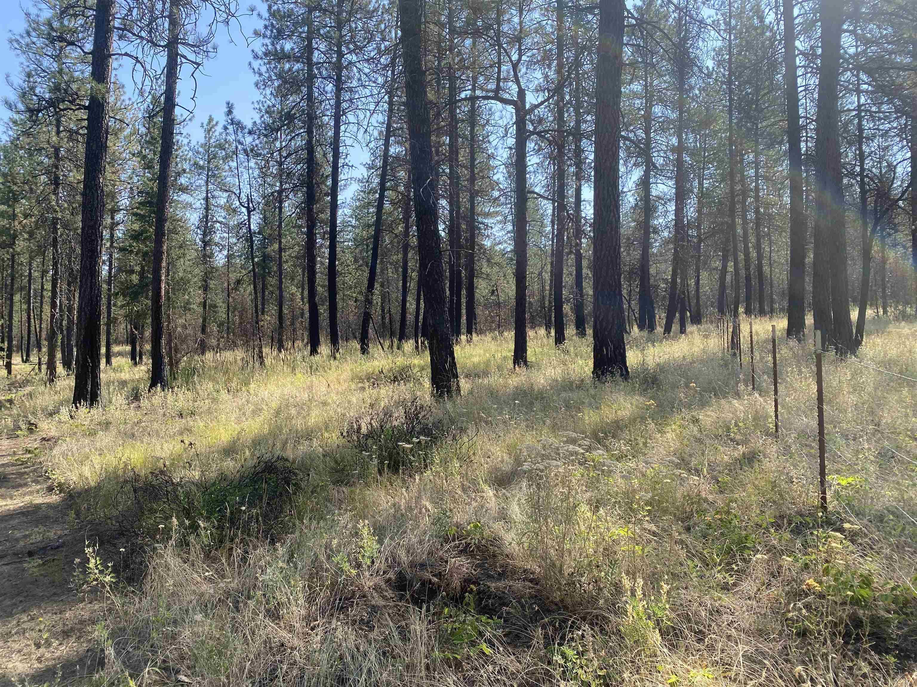 XXXXX E Elk-Chattaroy Rd, Elk, WA 99009