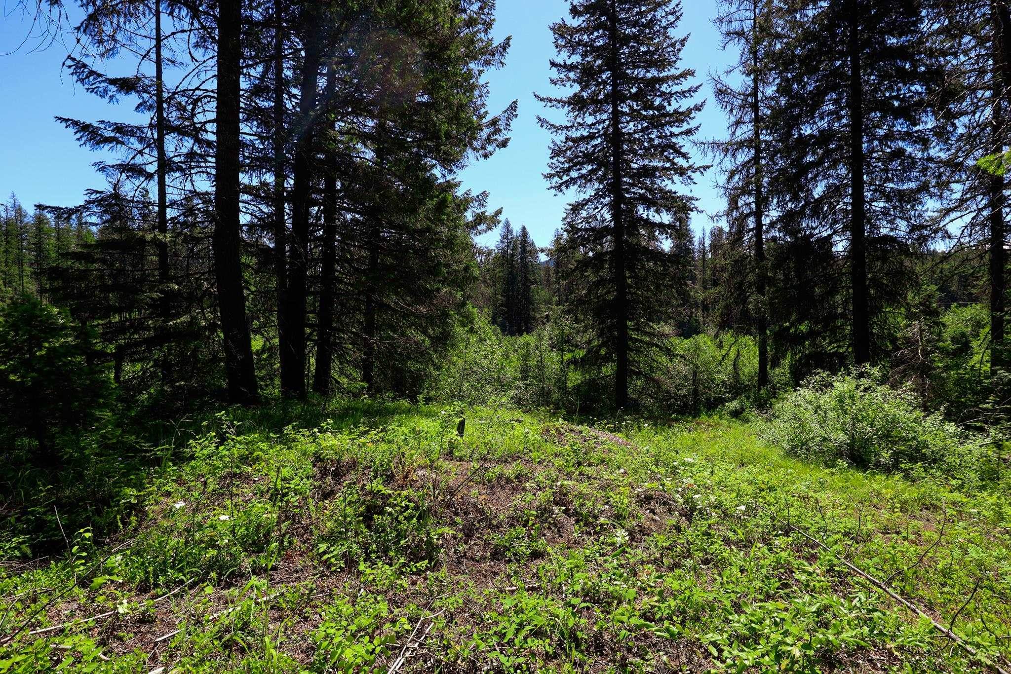 14 ElK Rd #Lot 14 Elk Rd, Newport, WA 99156