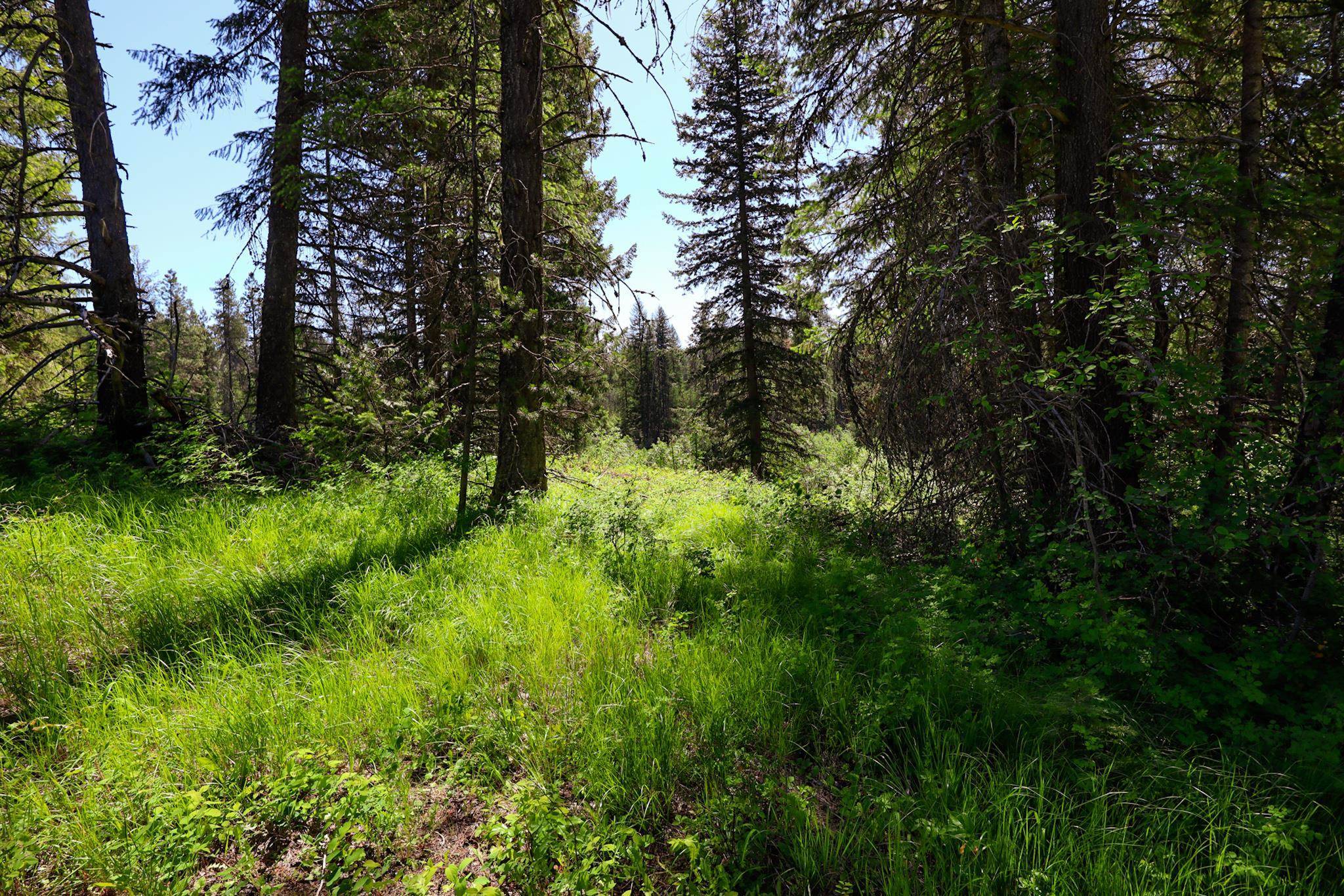 14 ElK Rd #Lot 14 Elk Rd, Newport, WA 99156