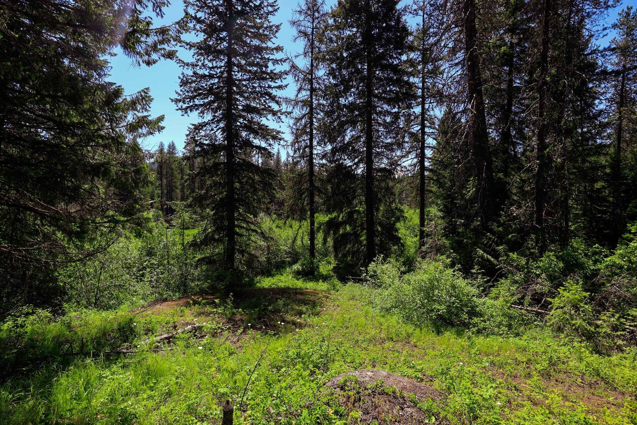 14 ElK Rd #Lot 14 Elk Rd, Newport, WA 99156