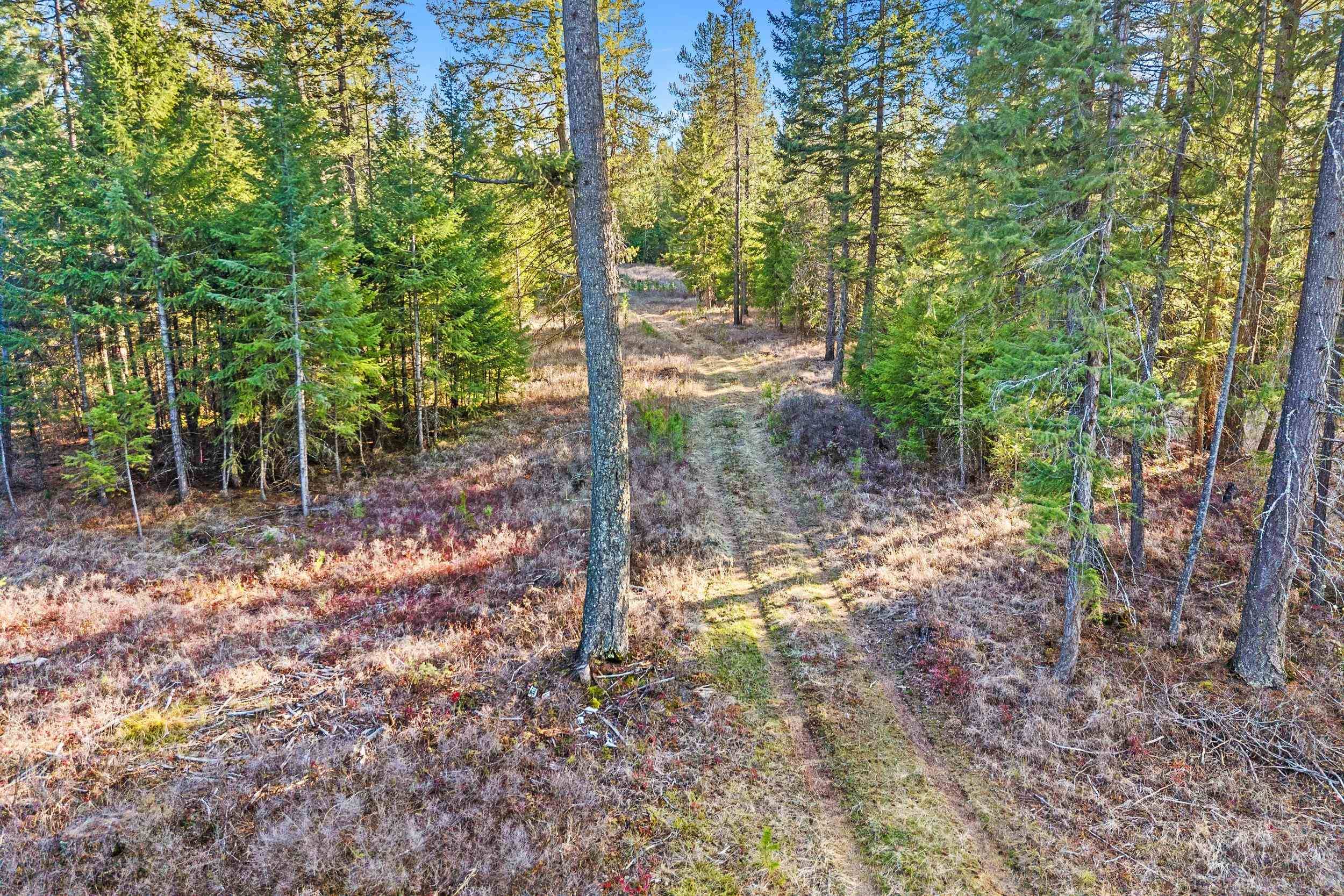12818 E Bridges Rd, Elk, WA 99009-9696