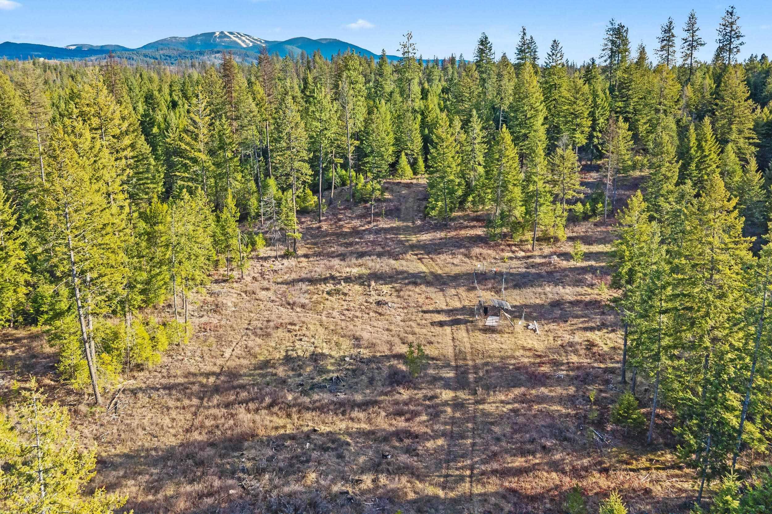 12818 E Bridges Rd, Elk, WA 99009-9696