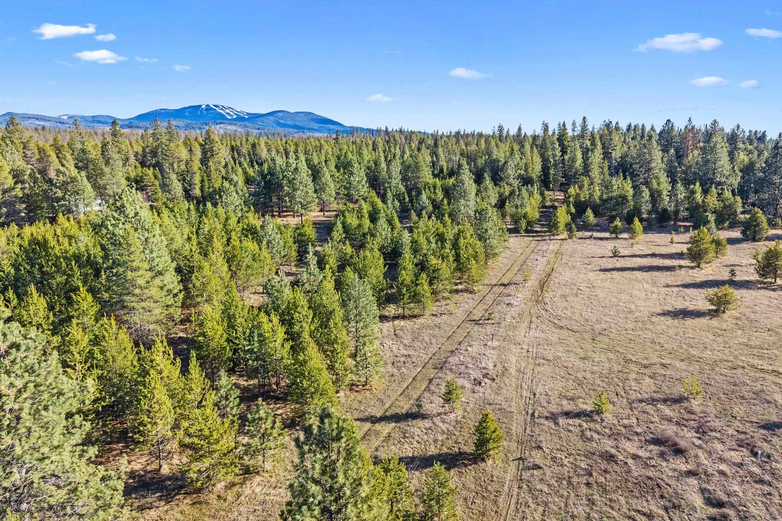 12818 E Bridges Rd, Elk, WA 99009-9696