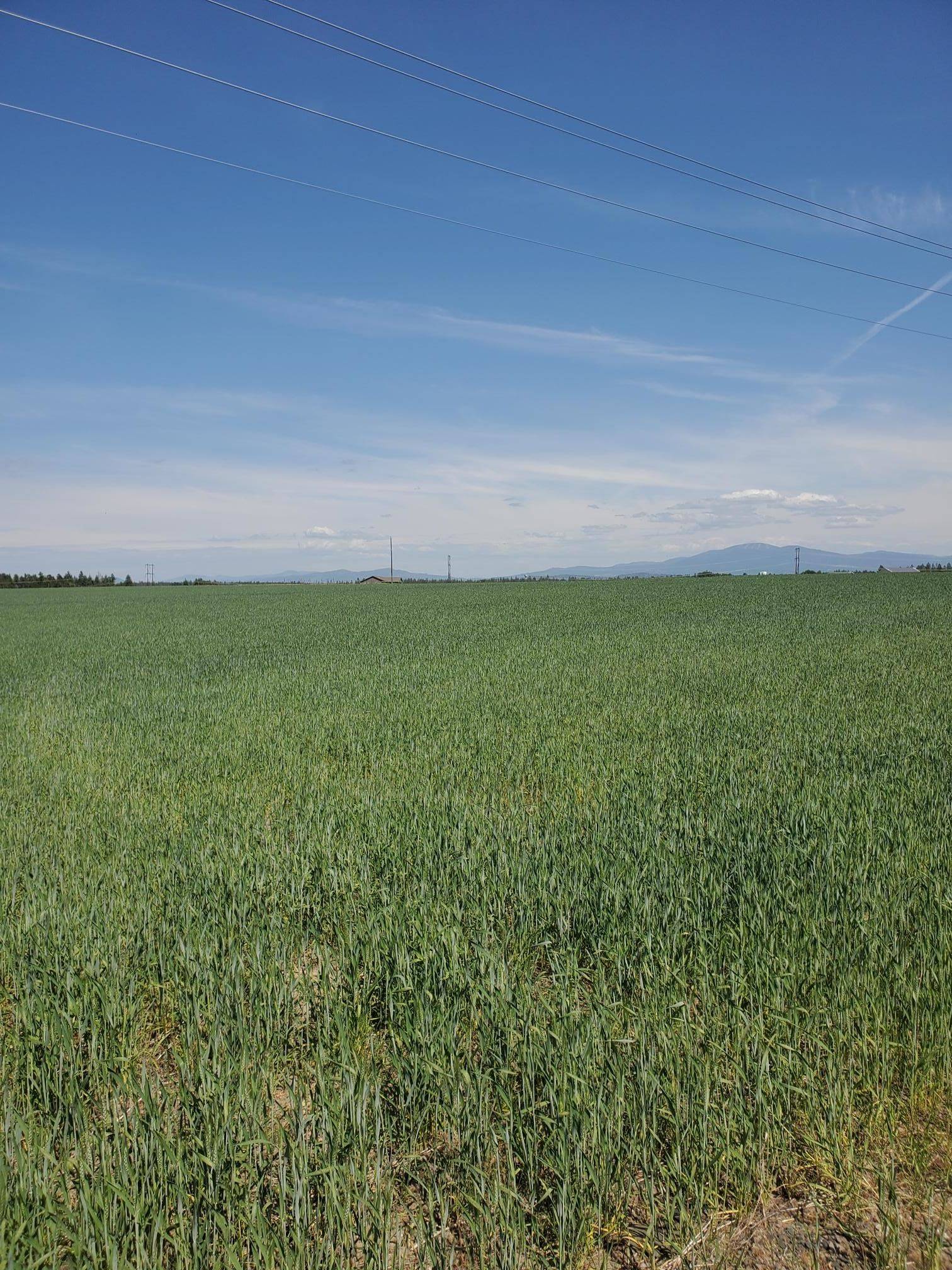 34XXX N Highway 395 Hwy, Deer Park, WA 99006