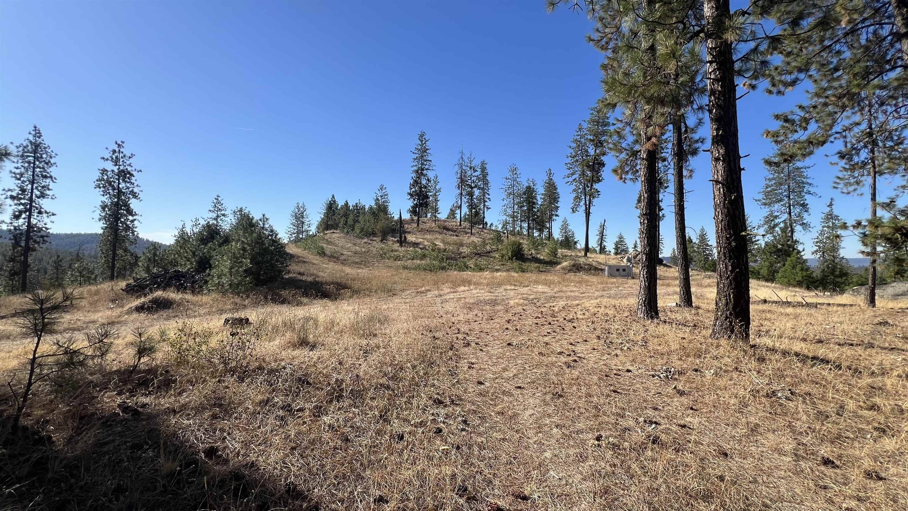 NNA Corkscrew Canyon Rd, Tumtum, WA 99034