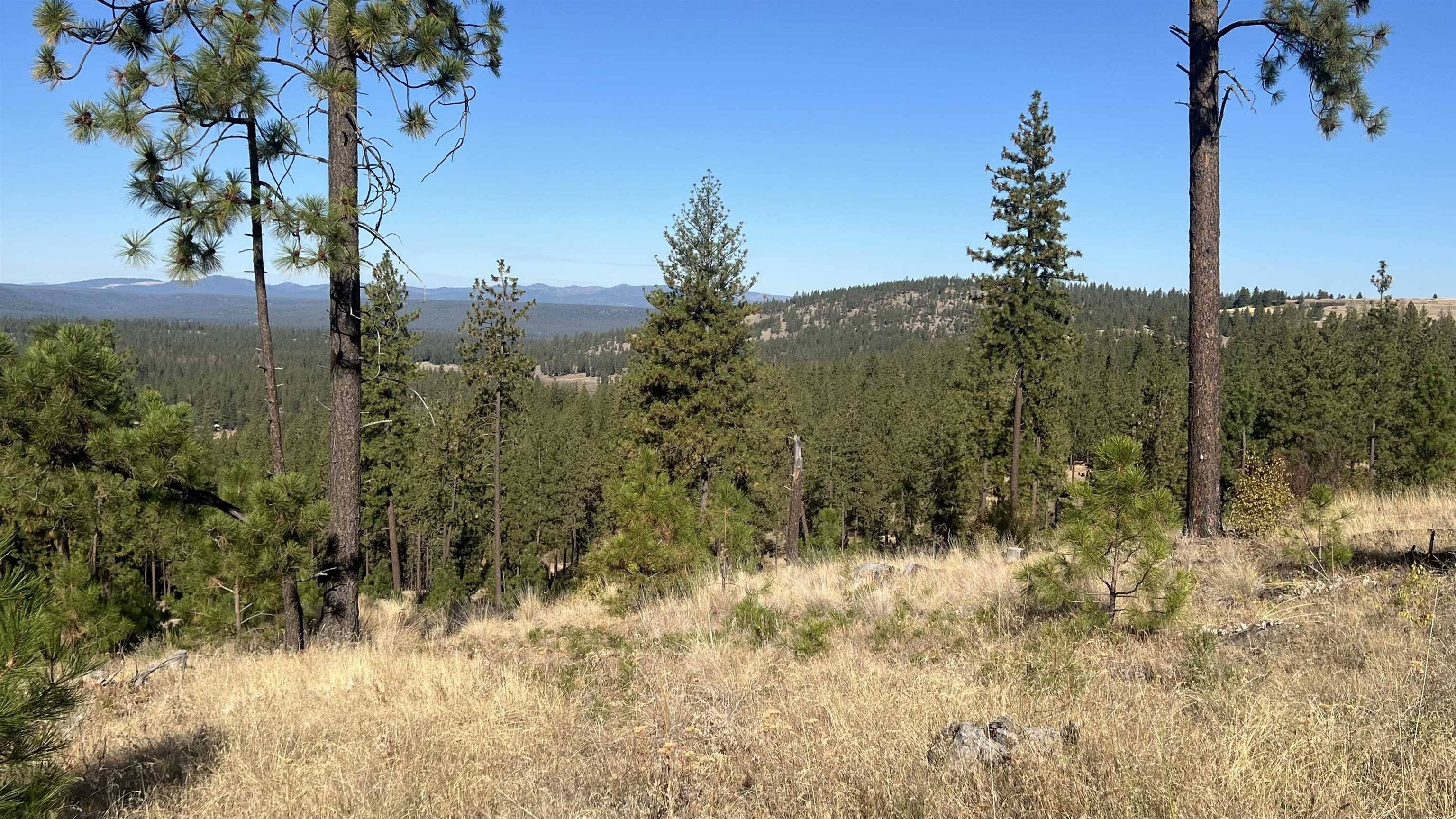 NNA Corkscrew Canyon Rd, Tumtum, WA 99034