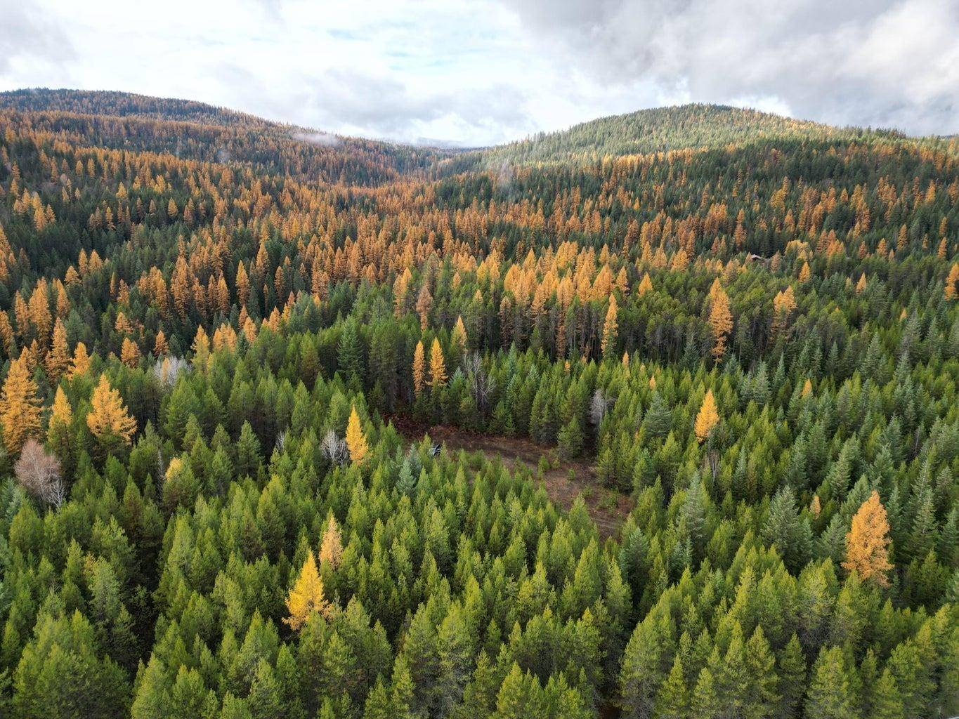 TBD Schlegel Ranch Rd, Ione, WA 99139-0000