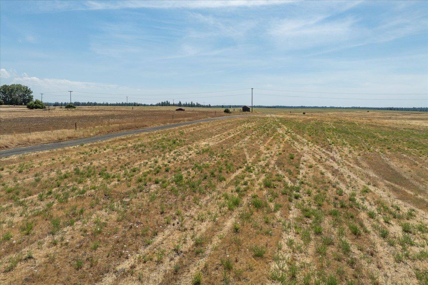 177XX S Smythe Rd, Spangle, WA 99224