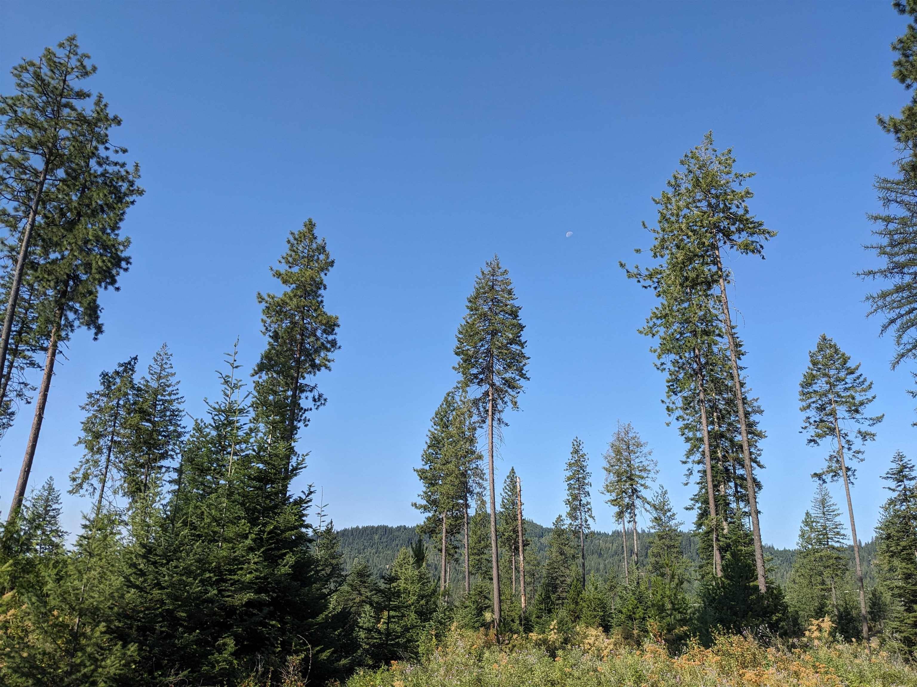 NKN Lot 2 Veit Rd, Newport, WA 99156